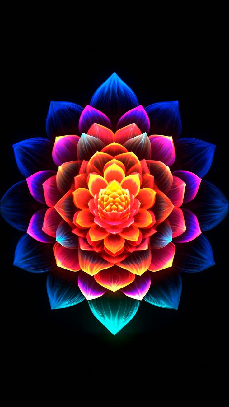 736x1308 Flower OLED iPhone Wallpaper 4K
