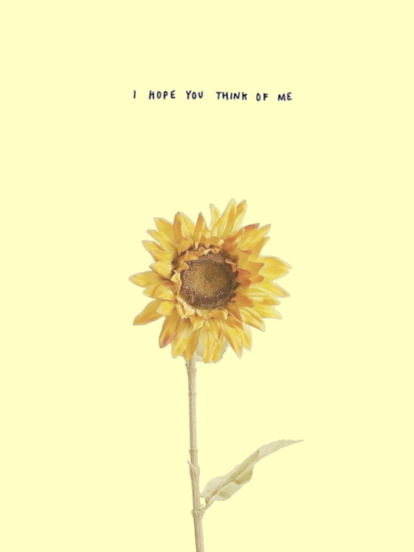 1440x1920 Download The sky is the limit