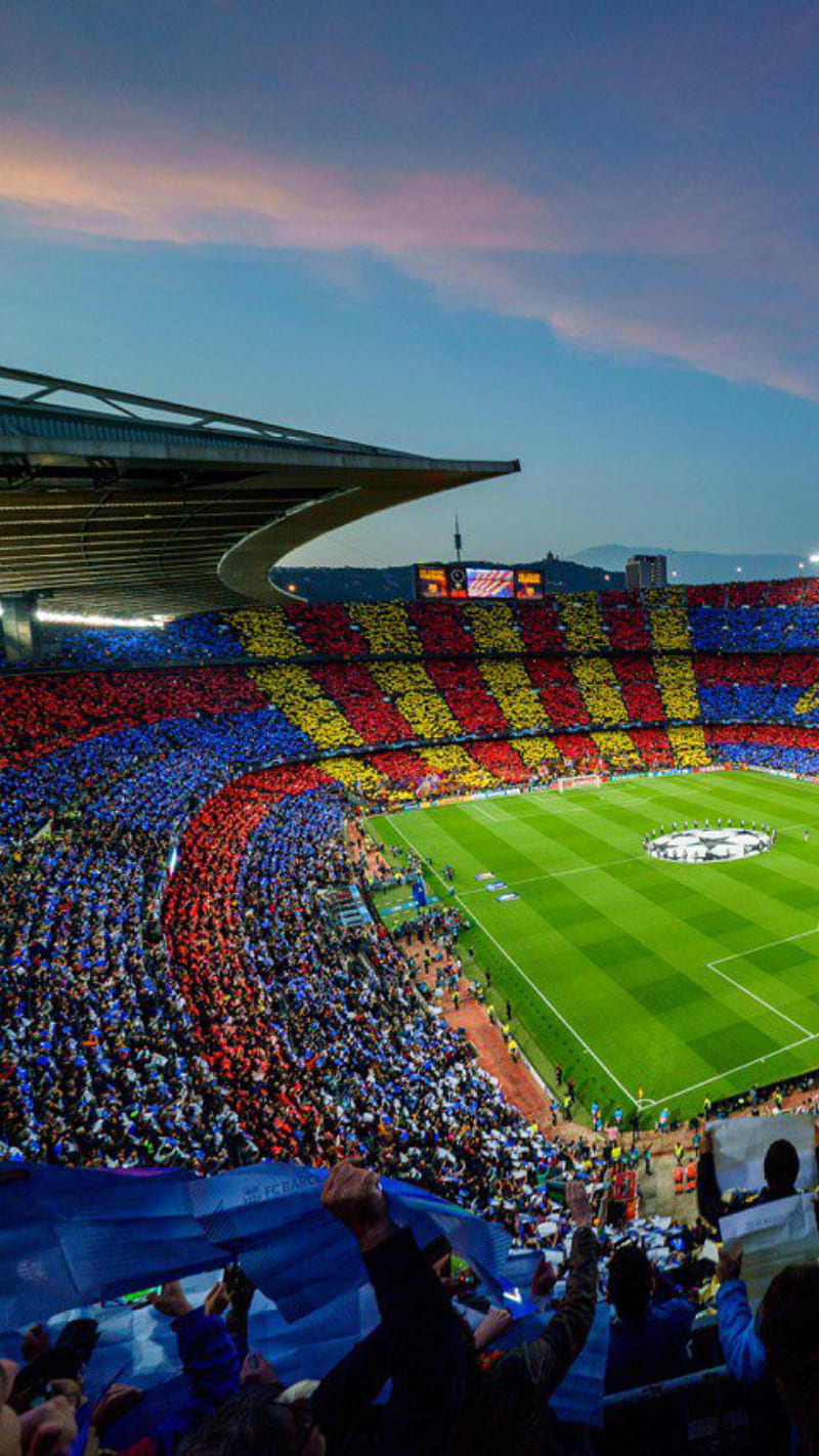 800x1422 HD barca fans wallpaper