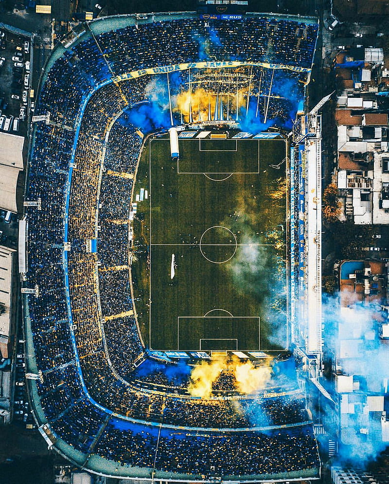 800x994 HD argentina fans wallpaper