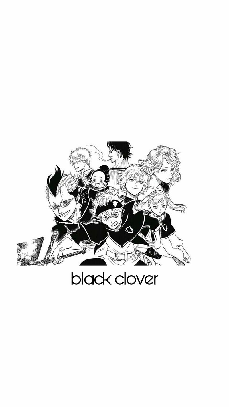 800x1421 Black clover, aesthetic, anime, asta, noelle, HD phone wallpaper