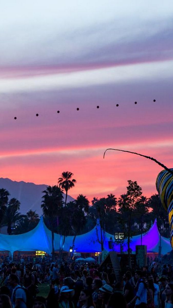 675x1200 Coachella Festival Wallpaper