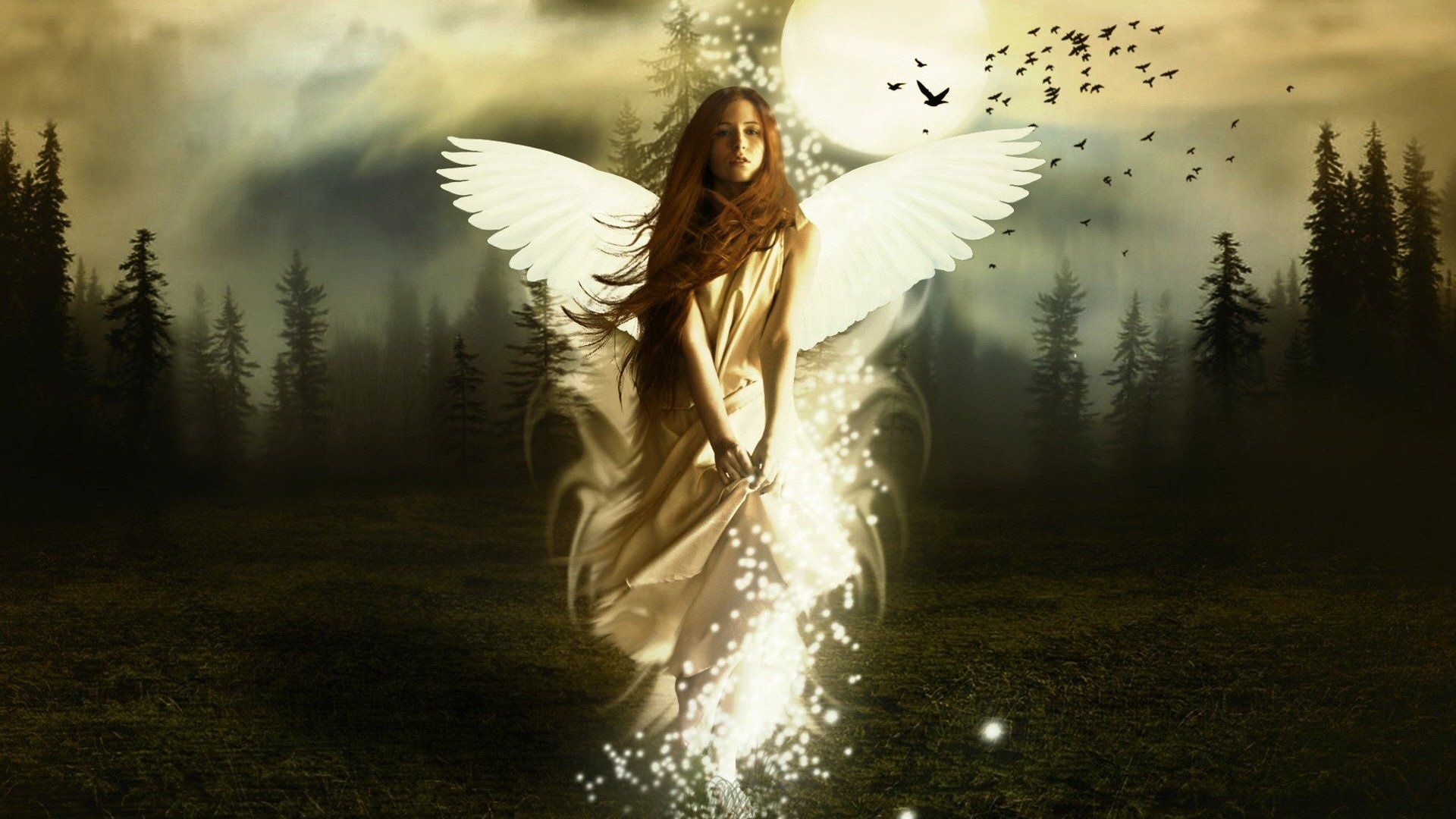 1920x1080 Mystical Angel Wings Amid Foggy Moonlit Forest