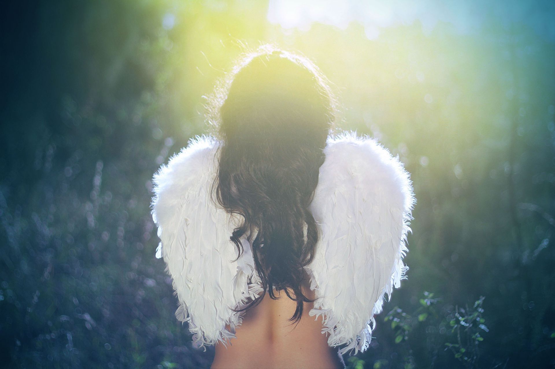 1920x1276 A girl with angel wings is standing with her back
