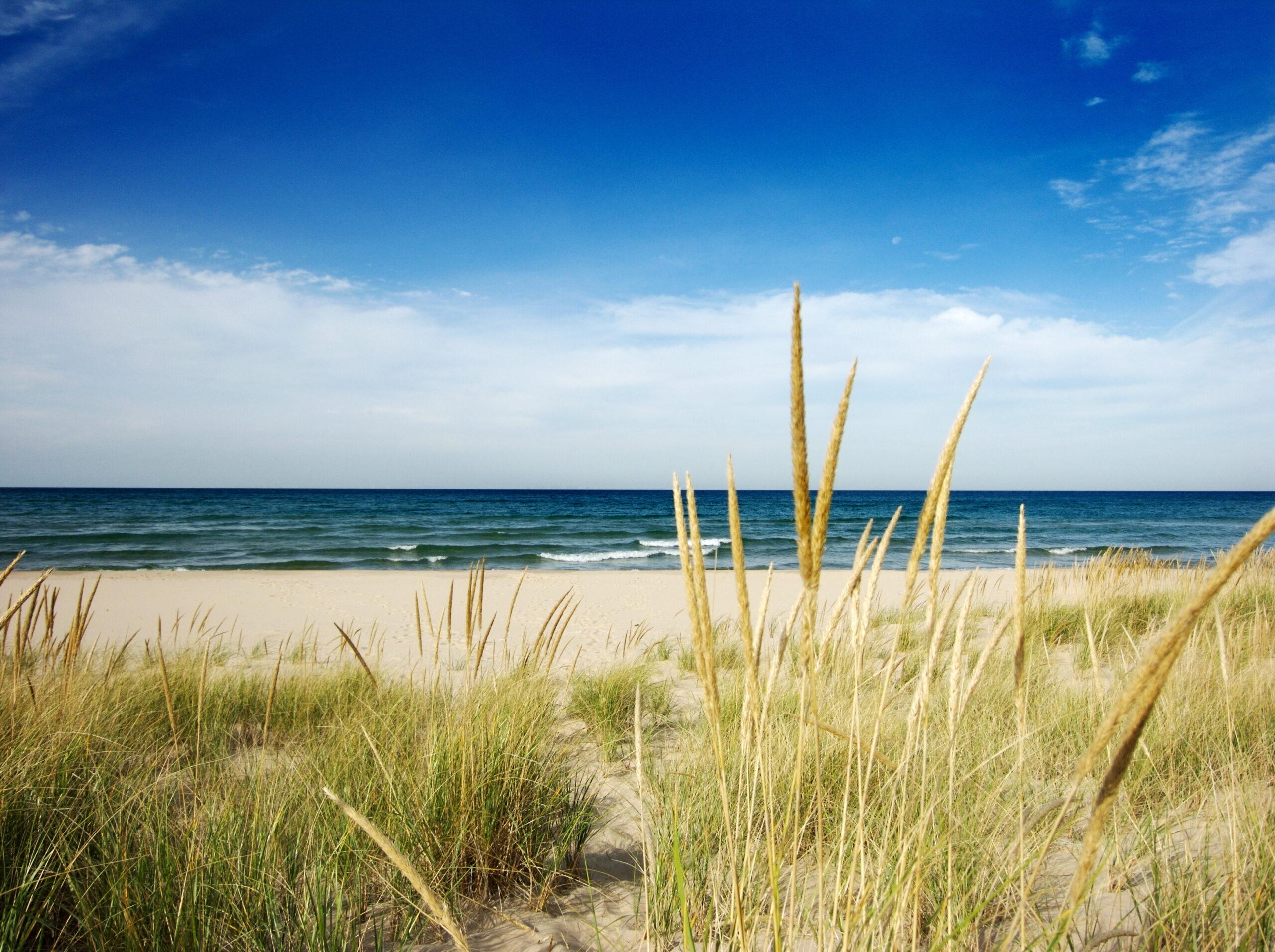 2560x1912 Our Hidden Treasures: Lake Michigan Beaches!
