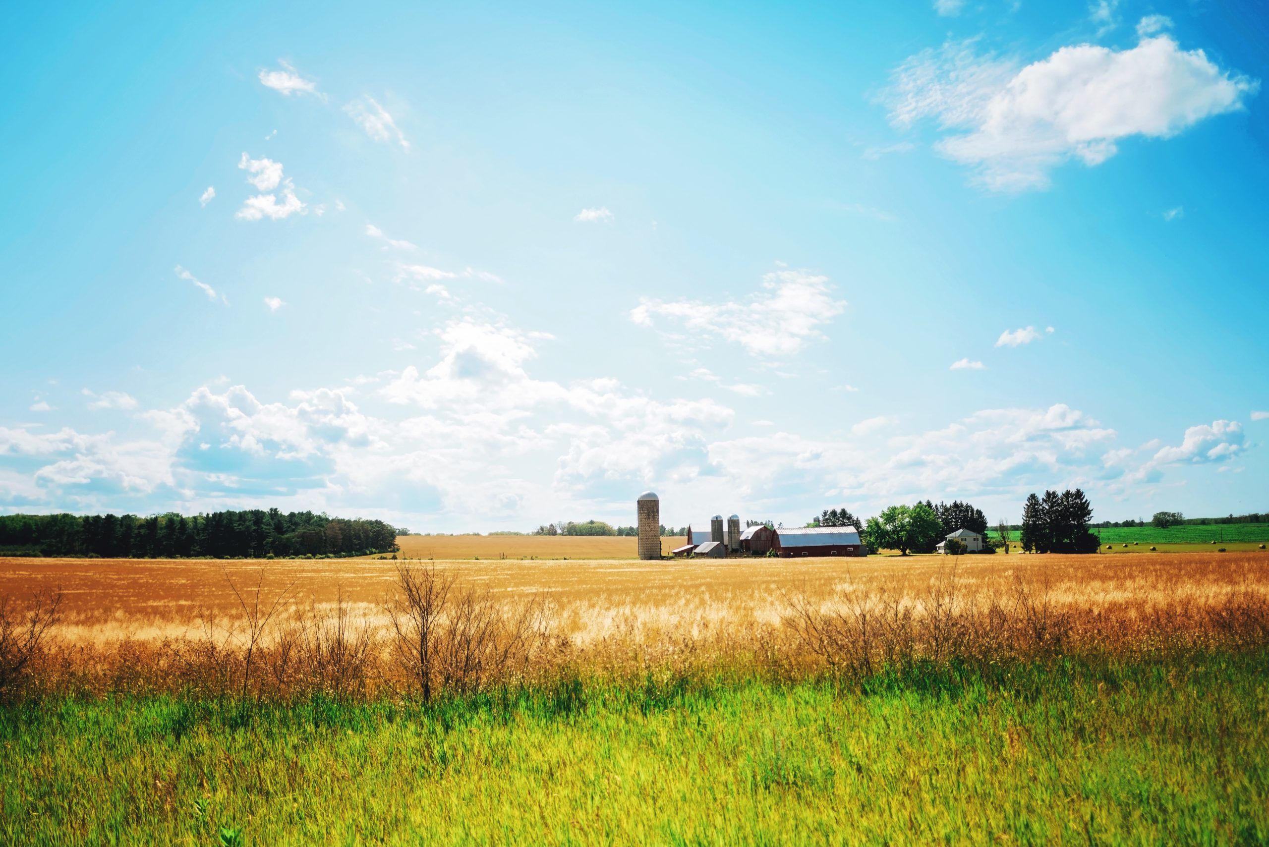 2560x1709 Summer On An Alpena County Farm. M 65
