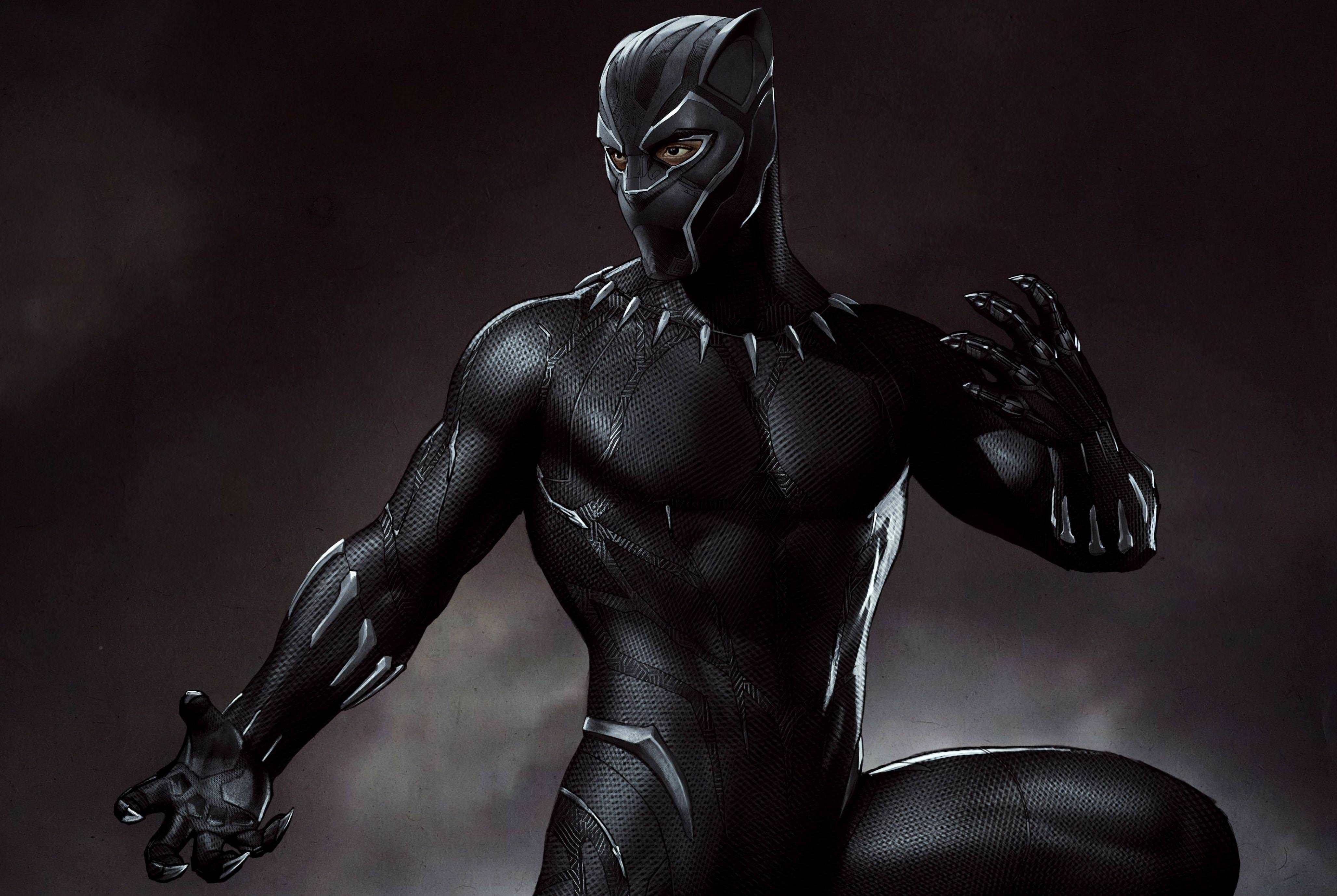 4113x2758 Bộ sưu tập hình nền HD nhân vật Avengers Black Panther.  YL