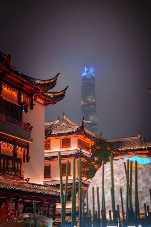 494x740 Modern china Image