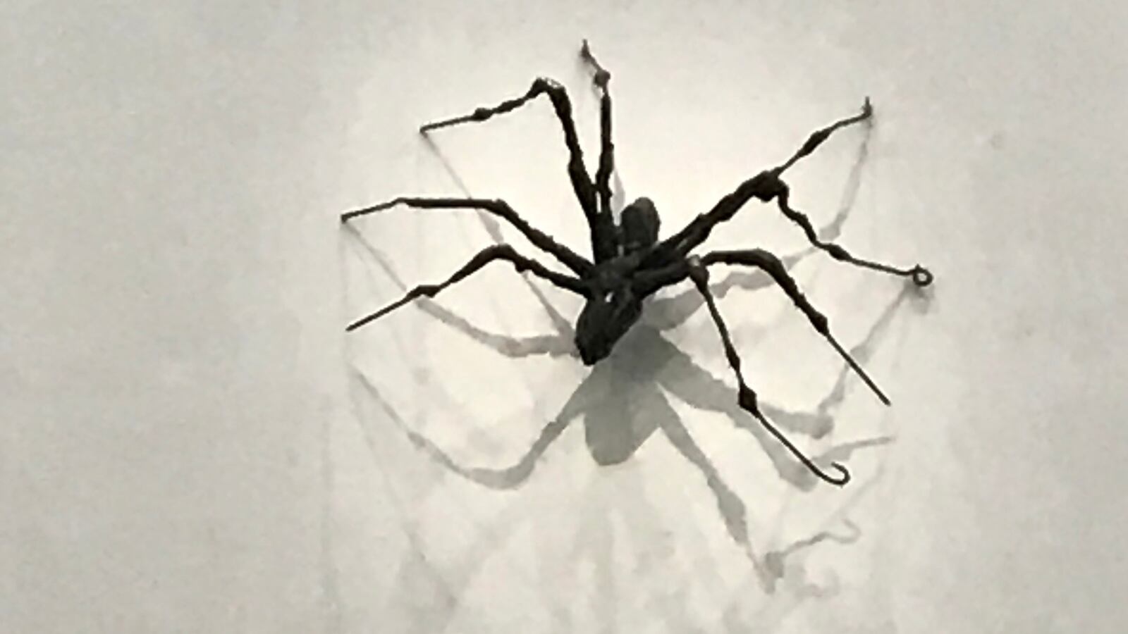 1600x900 Spiders, Bodies, and The New York Sky: The Big and Small Genius of Louise Bourgeois