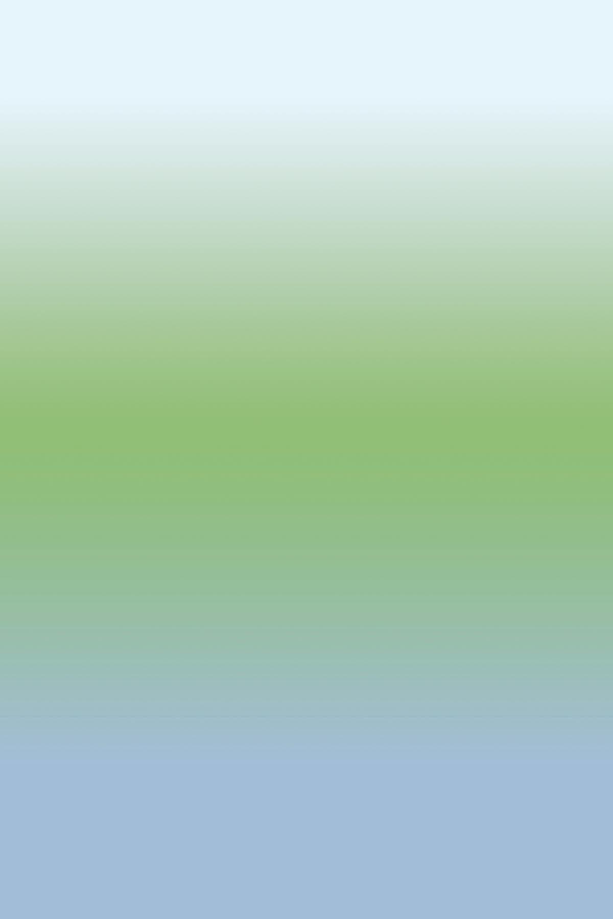 1200x1800 Gradient Color Green