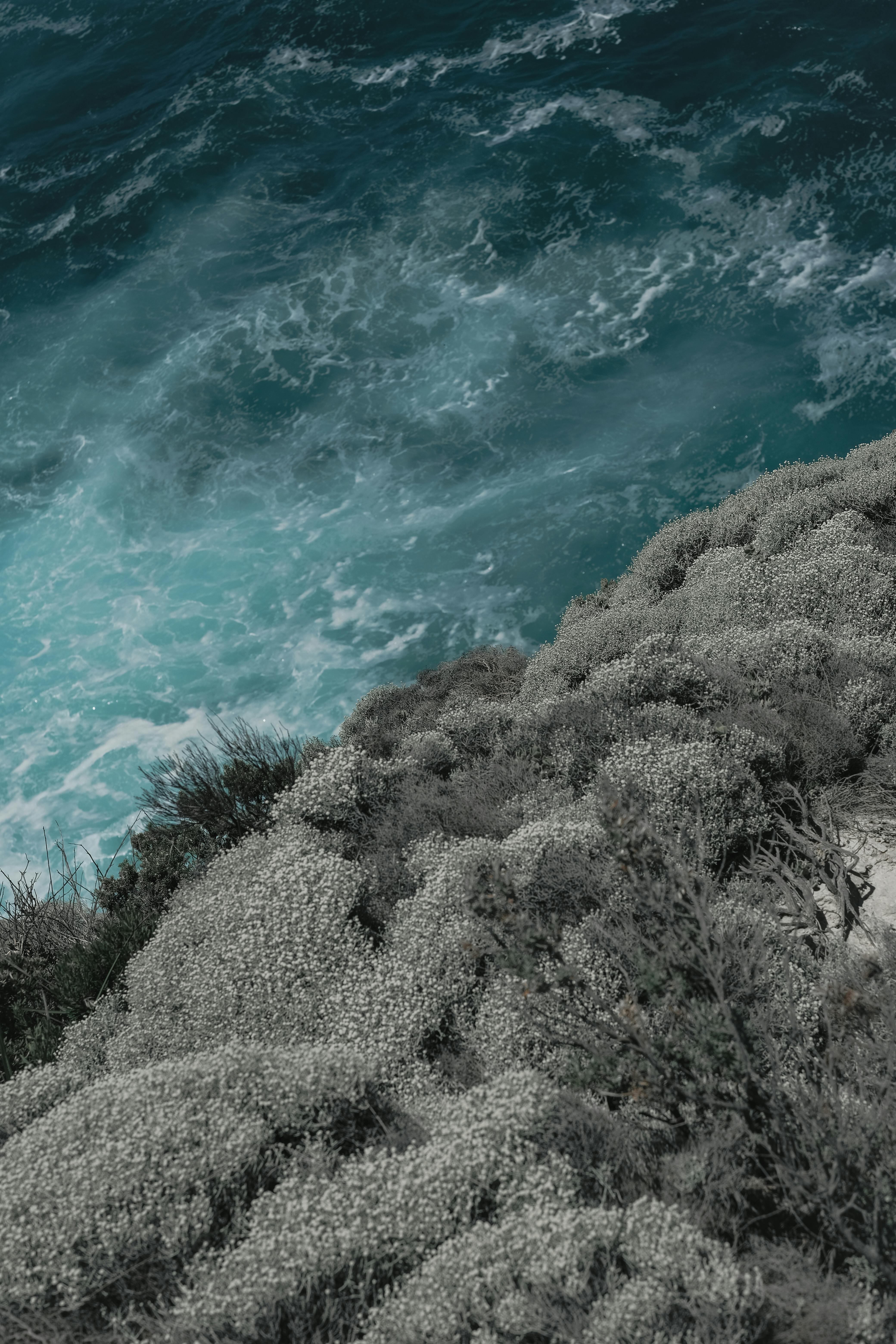 4160x6240 Southern Ocean Photo, Download The BEST Free Southern Ocean & HD Image