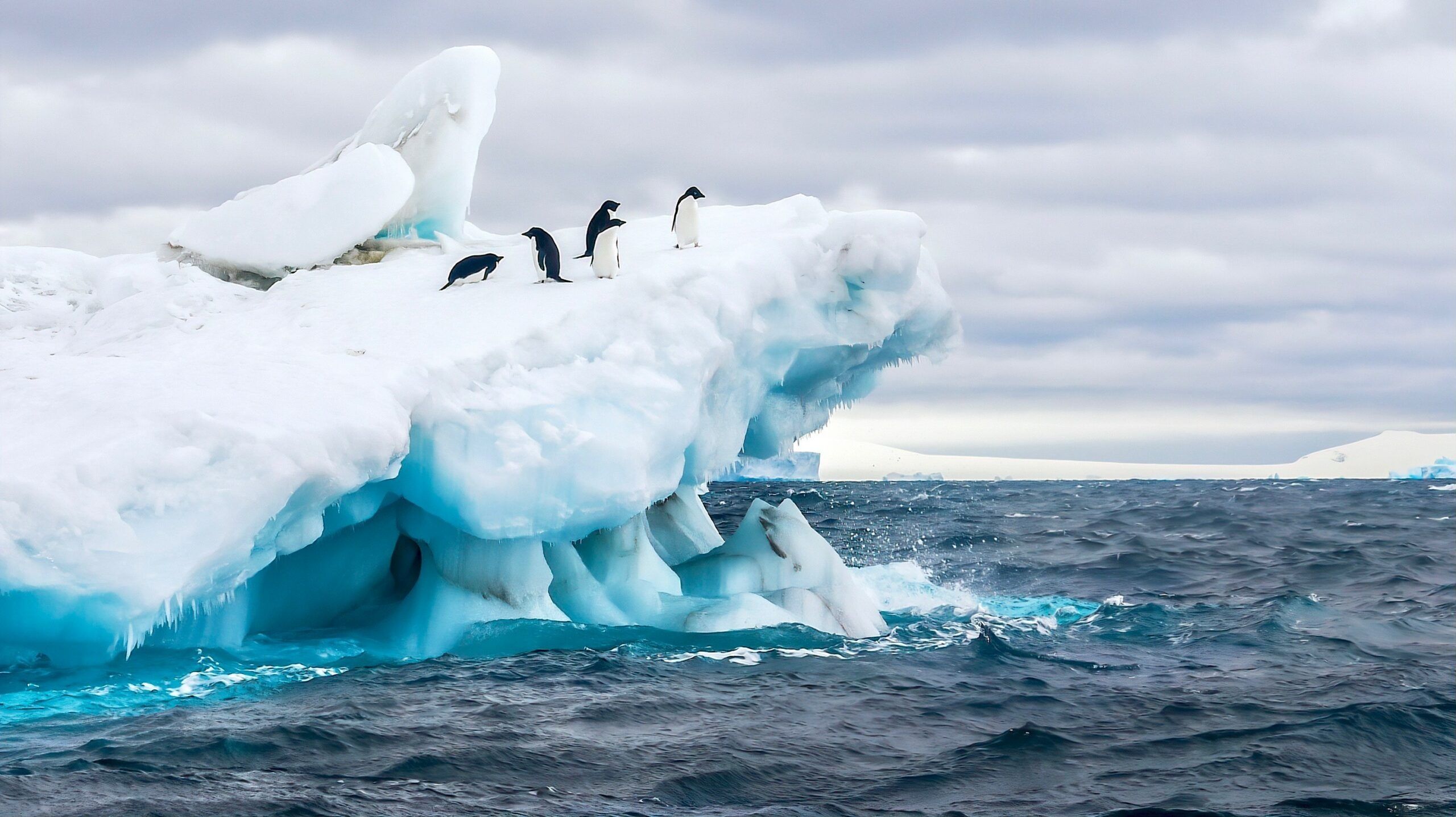 2560x1438 Southern Ocean Wallpaper