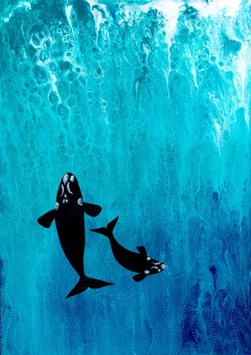825x1167 Southern Right Whales Wall Mural