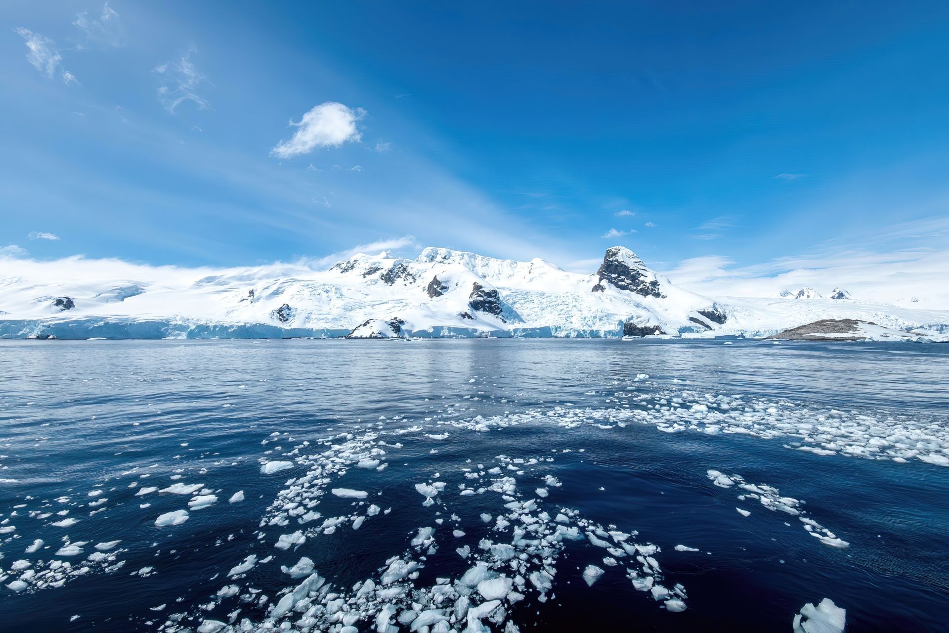1920x1280 Sharks Have Officially Reached Antarctica, and Scientists Are Shook