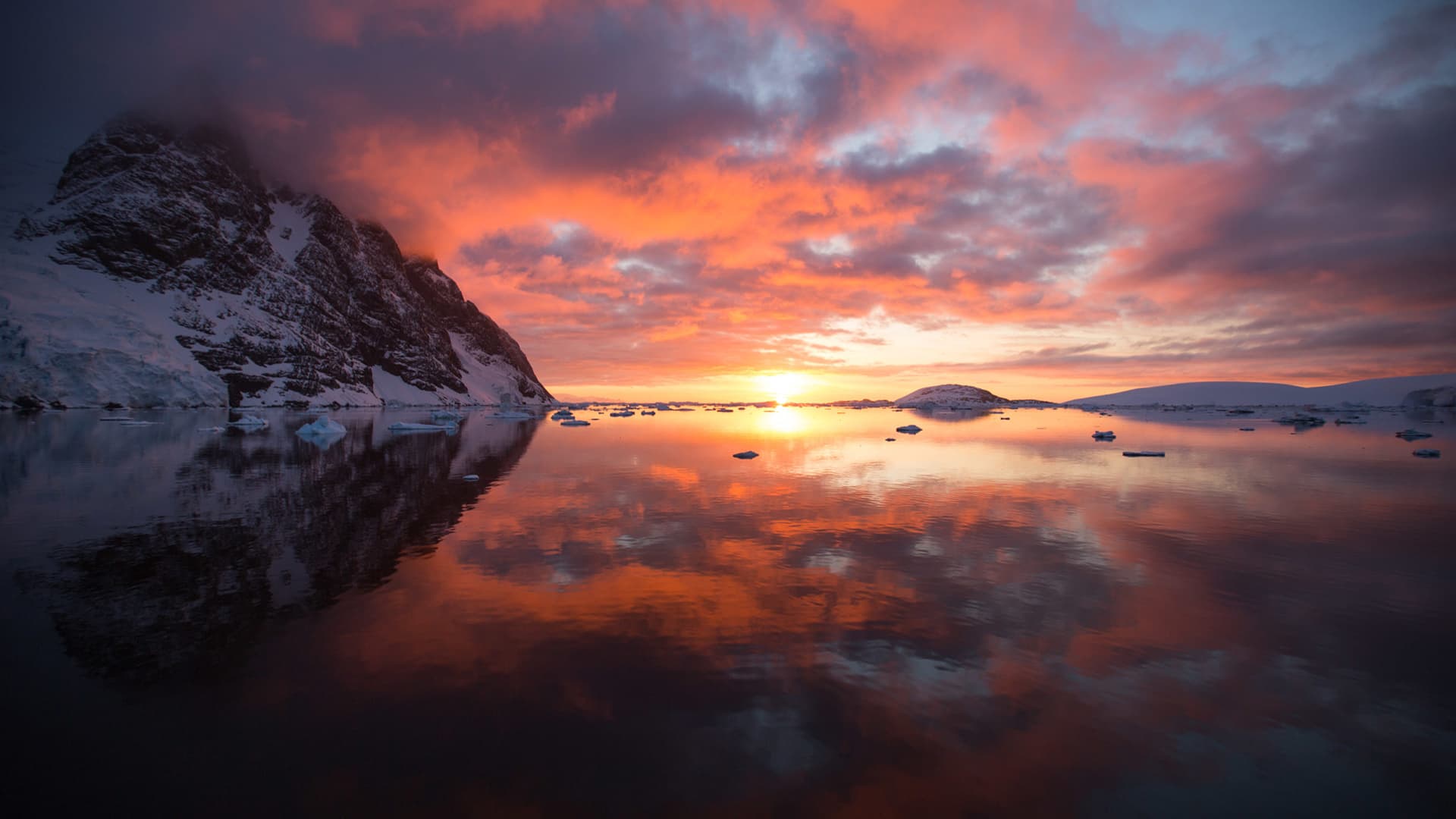 1920x1080 Photographing “The Serengeti of the Southern Ocean”