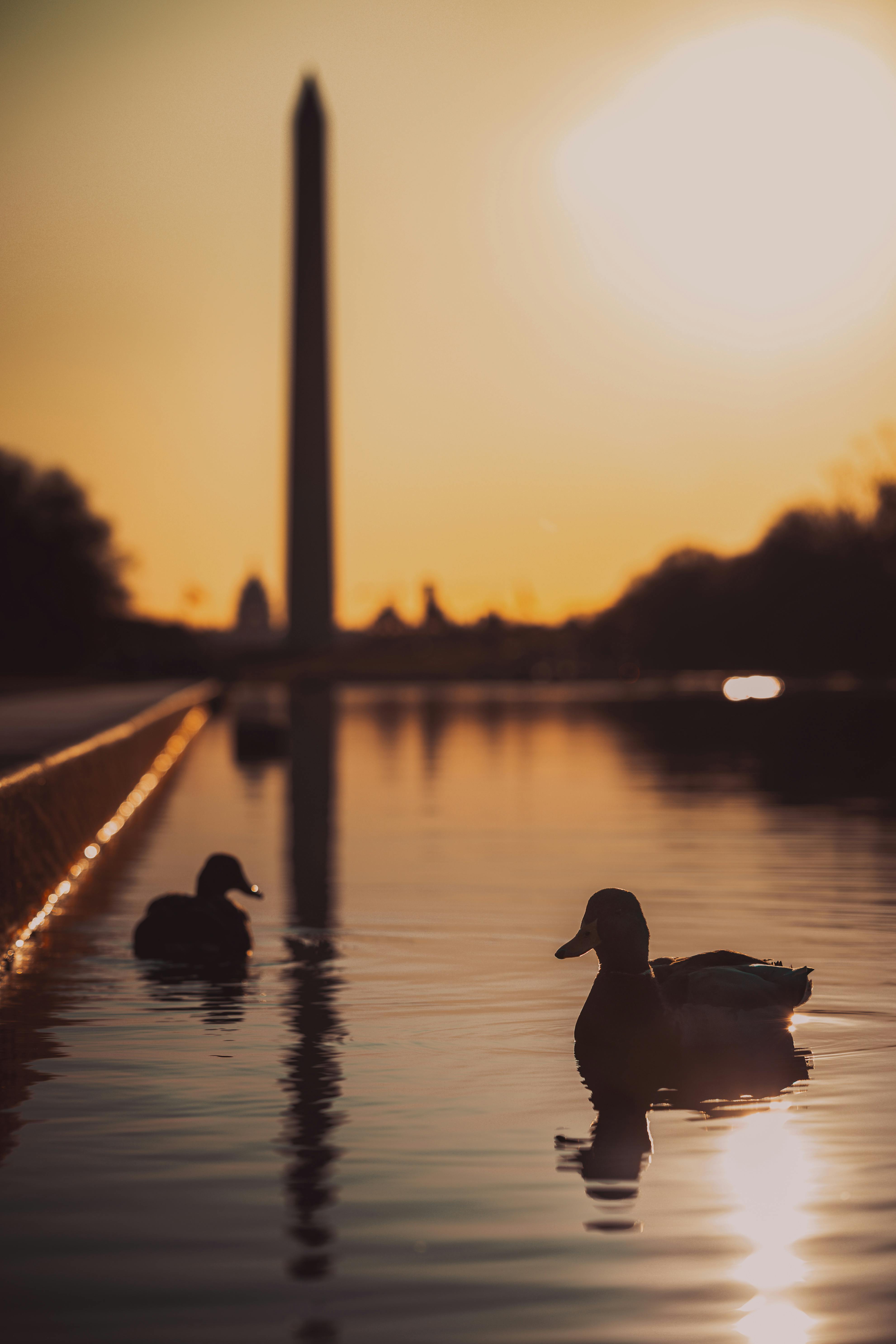 3962x5943 Washington Monument Reflecting in Calm Water at Sunset · Free