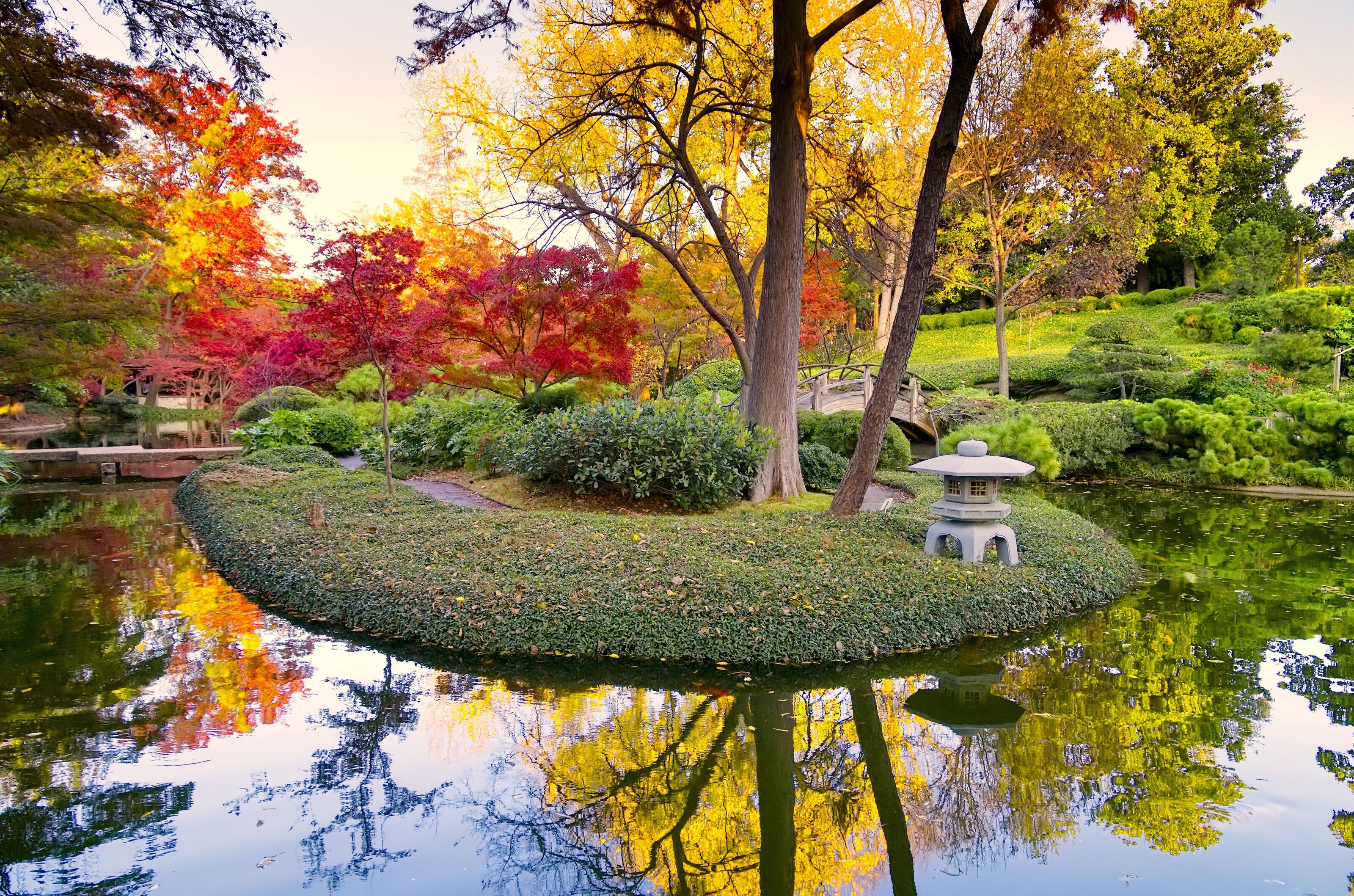 3200x2117 A Burst Of Fall Color Wall Mural