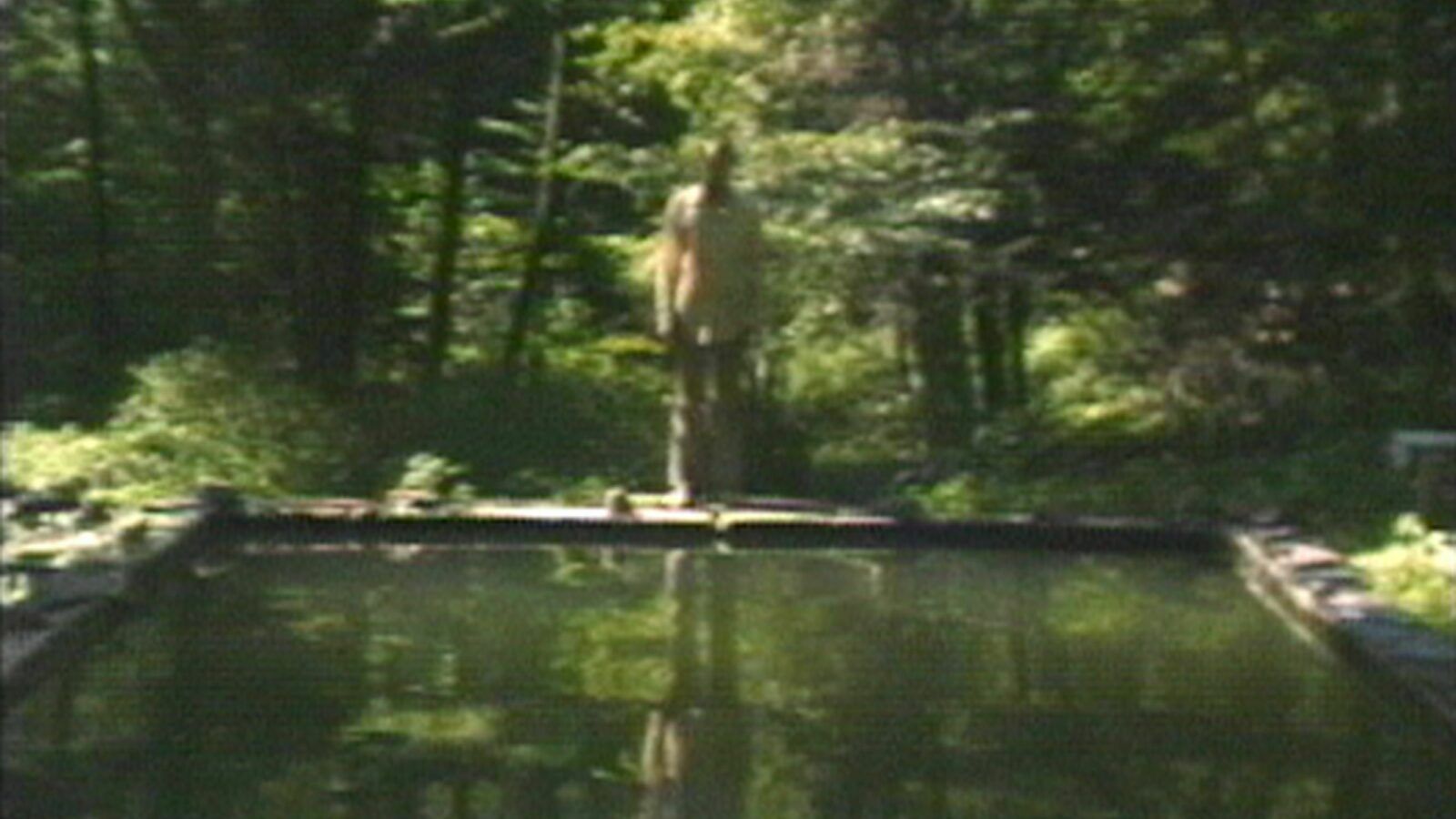 1600x900 The Reflecting Pool. International Festival of Films