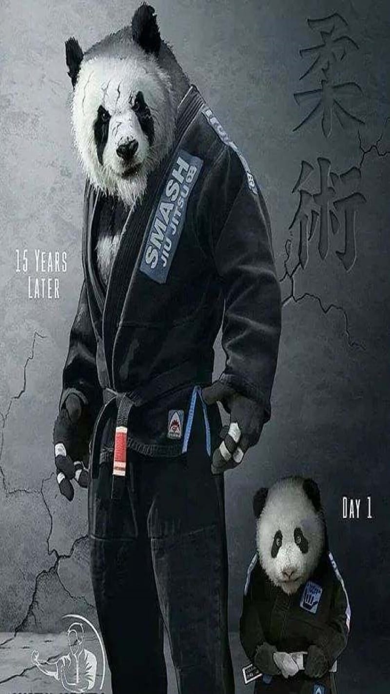 800x1422 Smash JiuJitsu Panda, bear, jiu jitsu, wrestling, HD phone wallpaper