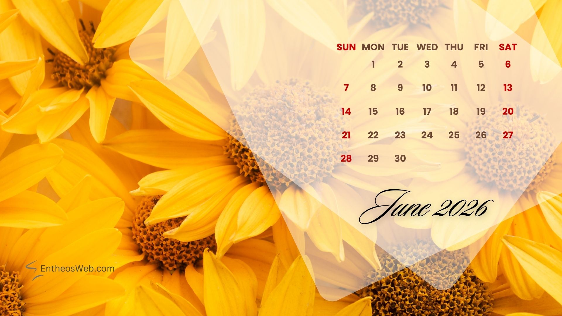 1920x1080 June 2026 Desktop Wallpaper Calendars