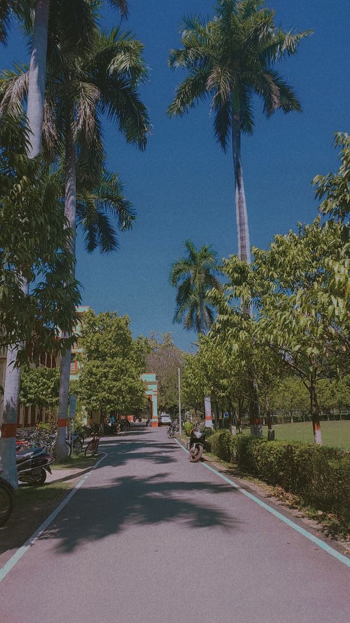 720x1280 Electrical Department IIT BHU
