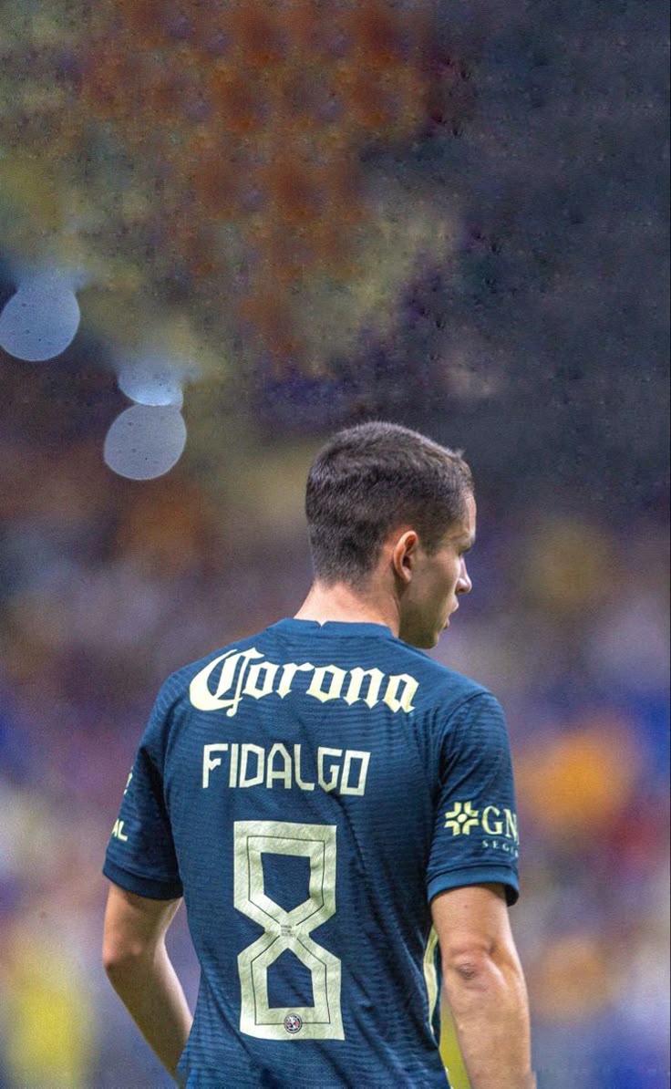 736x1194 Fidalgo Wallpaper