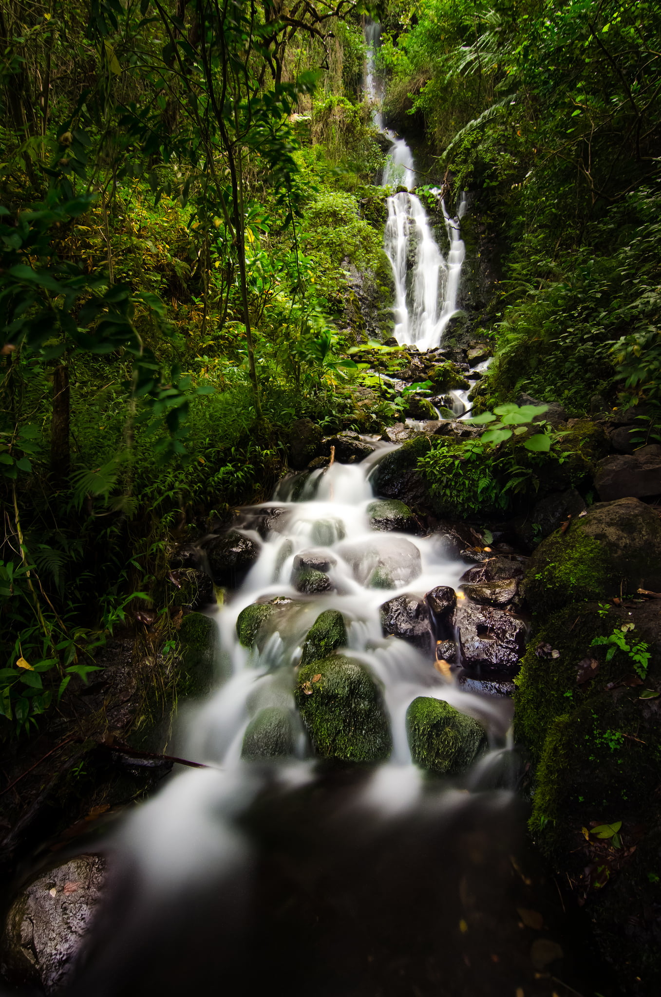 1357x2048 Photo of nature falls on rain forest during day time HD wallpaper