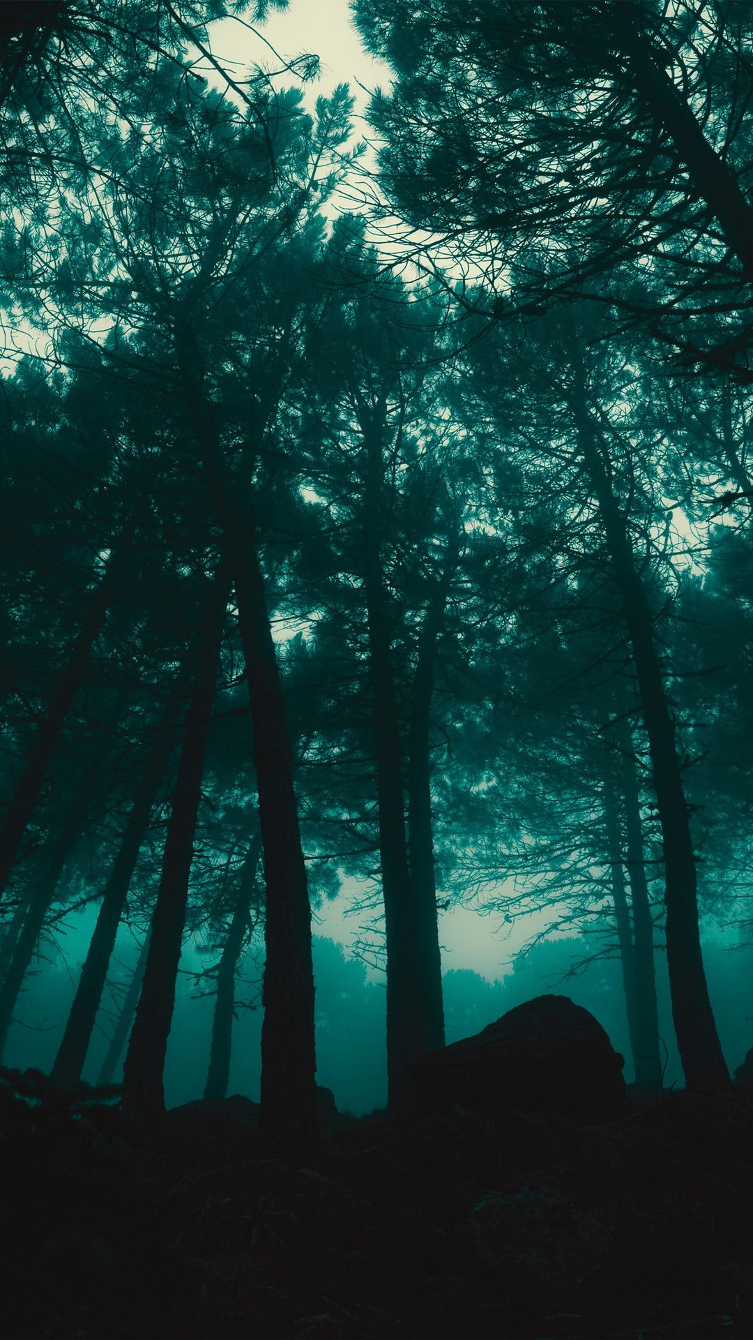 1080x1920 Download Dark Rain Forest, Dark, Rain, Forest, Rainy, Trees, Green Wallpaper in 1080x1920 Resolution