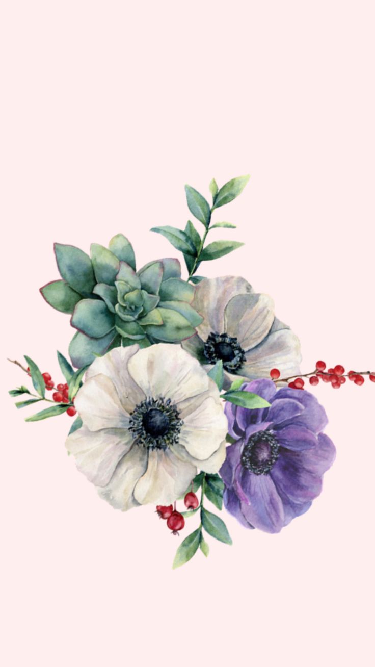 736x1308 Floral Wallpaper with Anemones and Succulents. Шаблоны для печати, Акварельная живопись, Фон