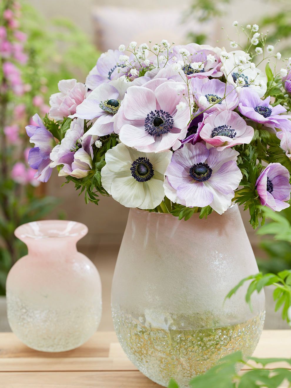 990x1320 Anemone Galilee Pastel Mix