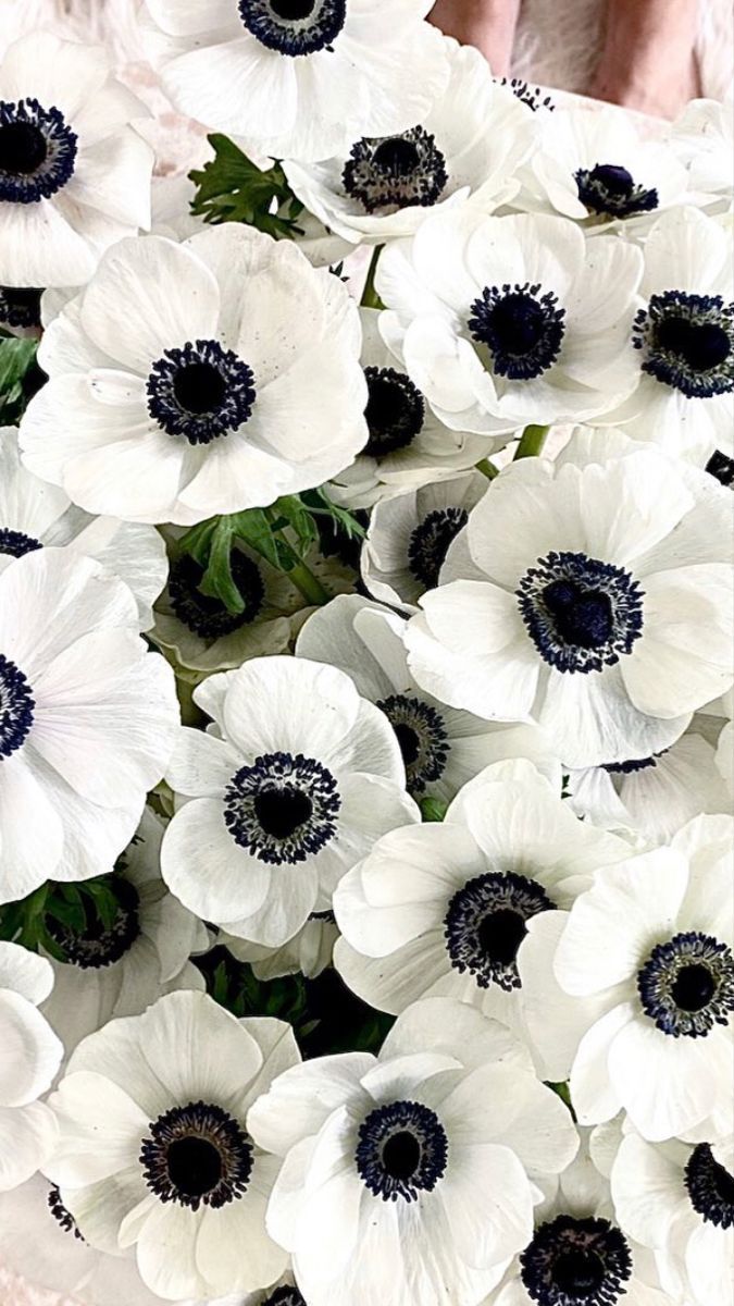 675x1200 FLOWERS // ideas. floral arrangements, floral, flowers