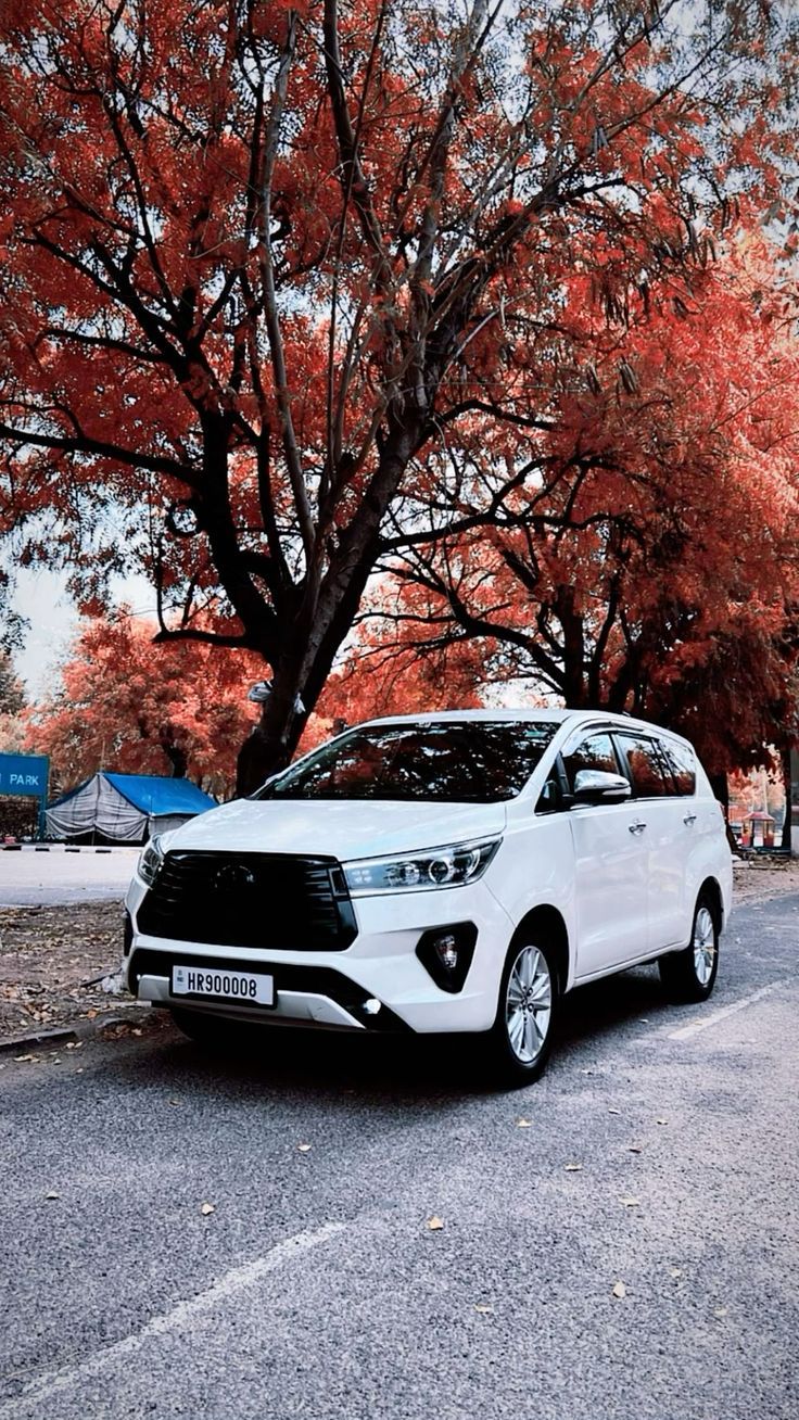 736x1308 Innova crysta
