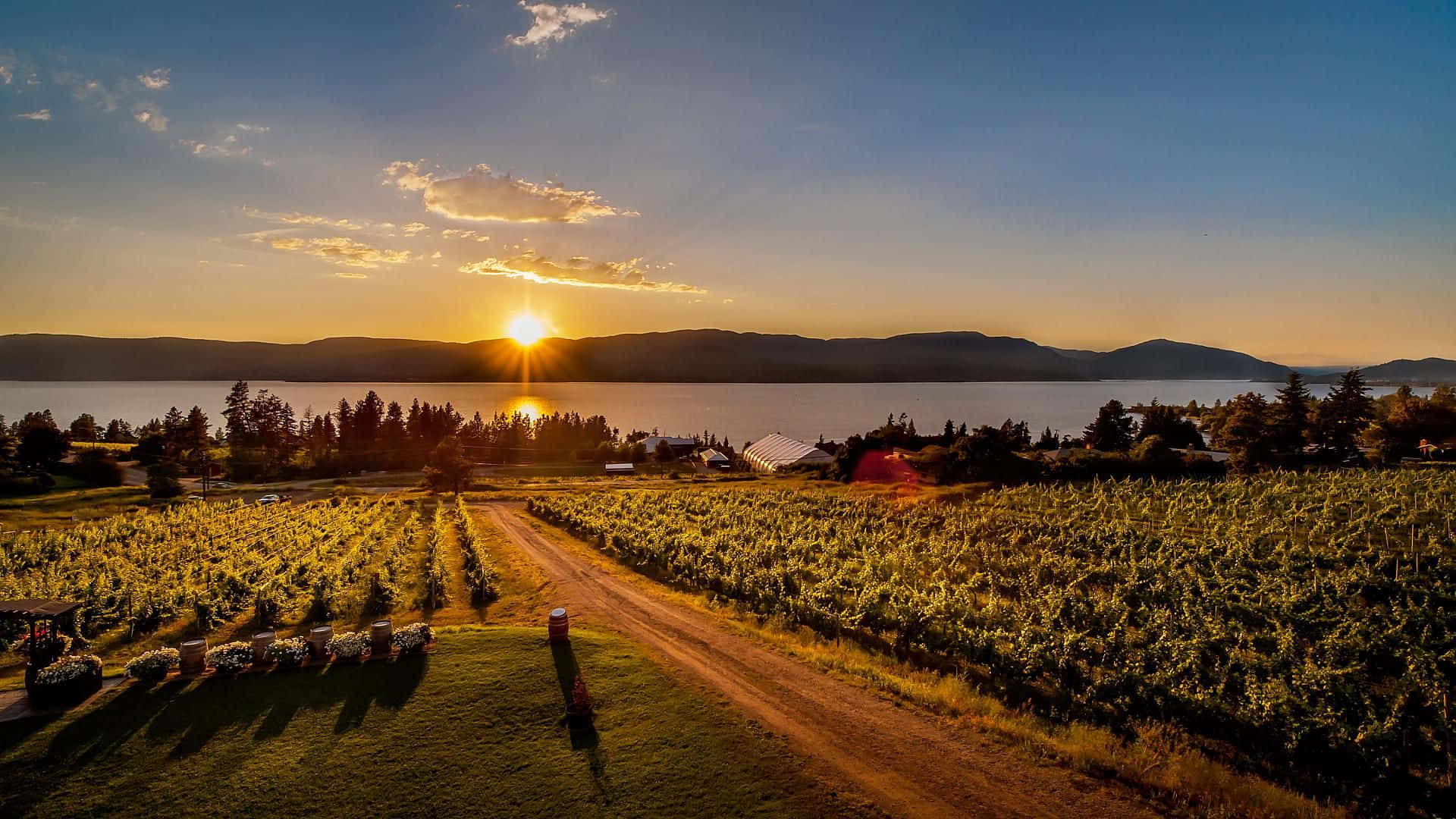 1920x1080 Download Sweeping Vista Of Kelowna Vineyard Wallpaper