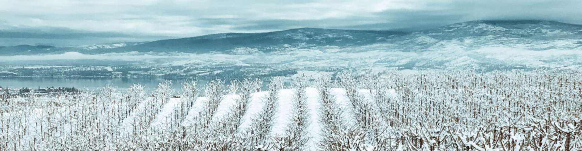 1920x500 Bring West Kelowna to your Zoom Meeting