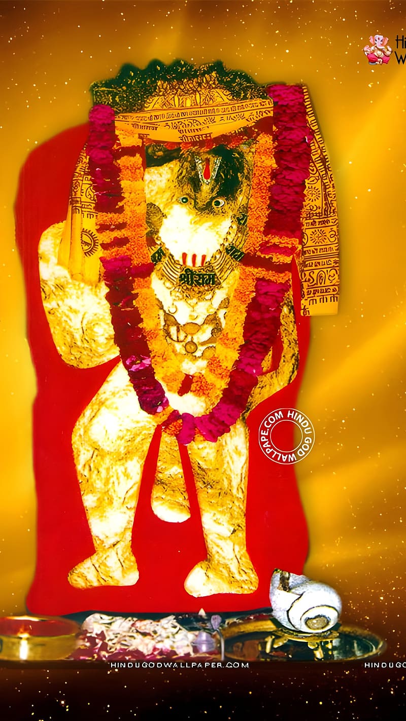 800x1422 HD balaji lord wallpaper