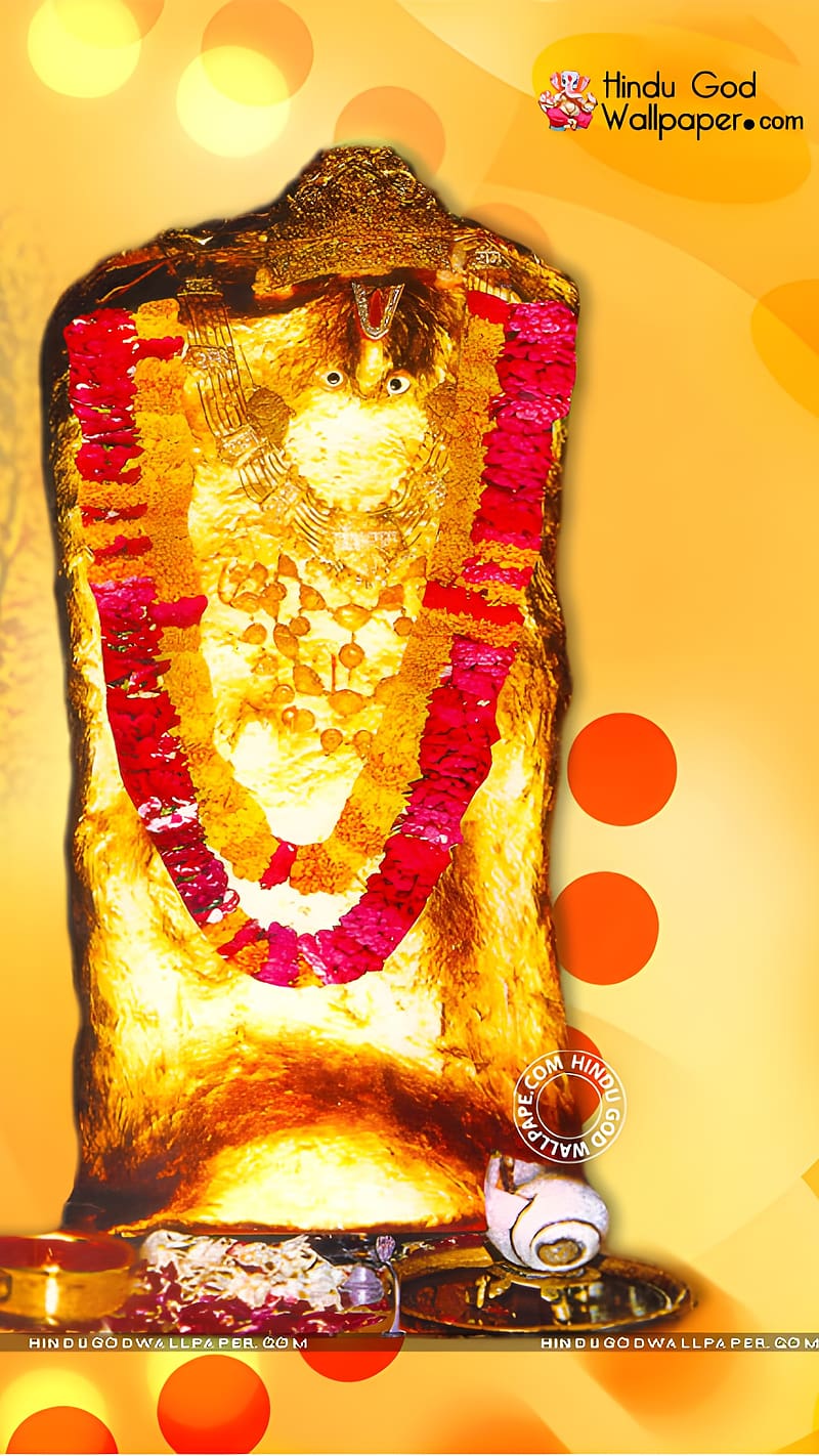 800x1422 Mehandipur Balaji, shri balaji, shri mehandipur balaji, lord, god, HD phone wallpaper