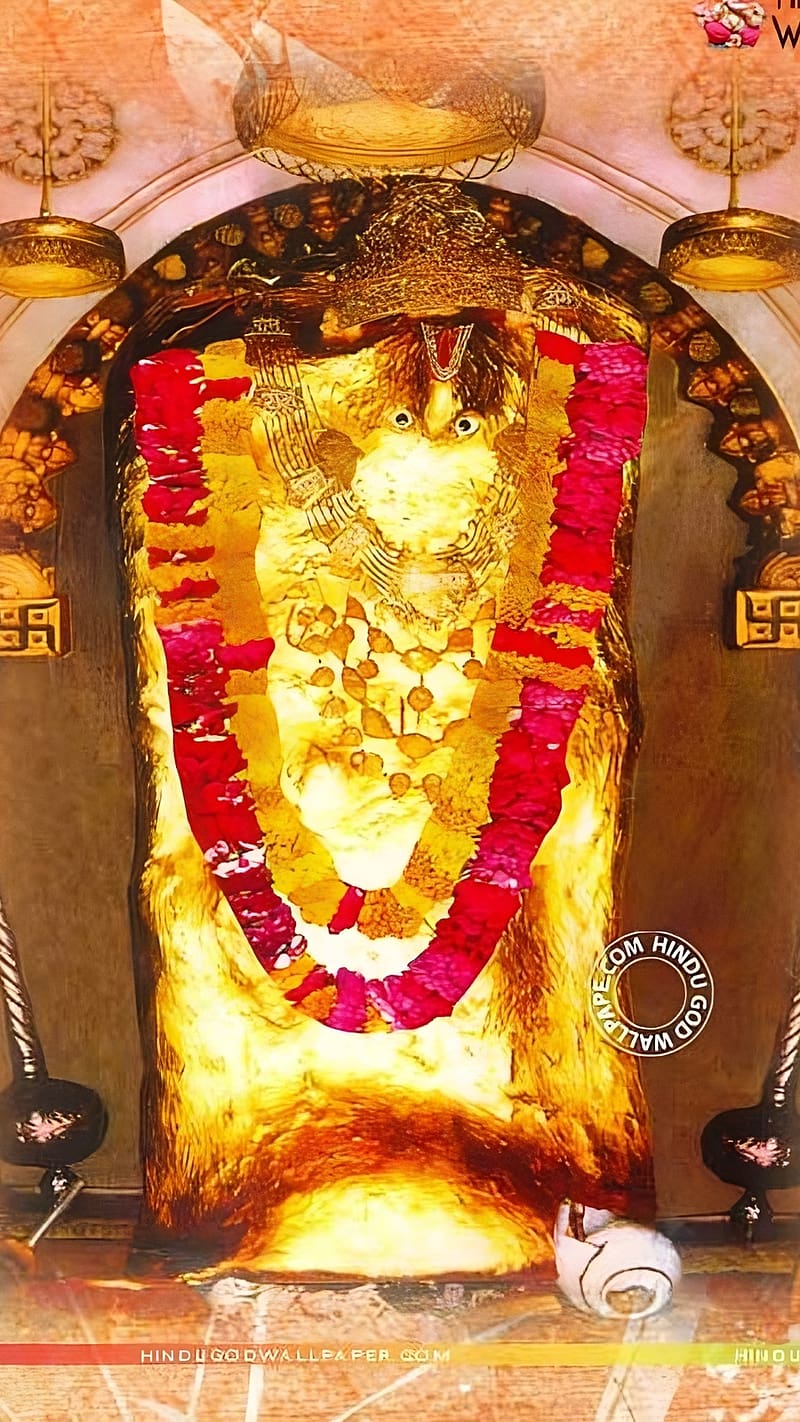800x1422 Balaji Maharaj Ka, balaji, lord, god, HD phone wallpaper
