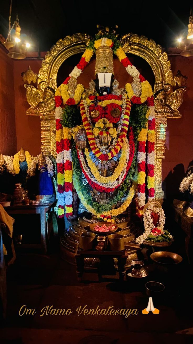 736x1308 Venkateswara swamy photo. Mehandipur balaji HD wallpaper, Durga, Tirupati balaji