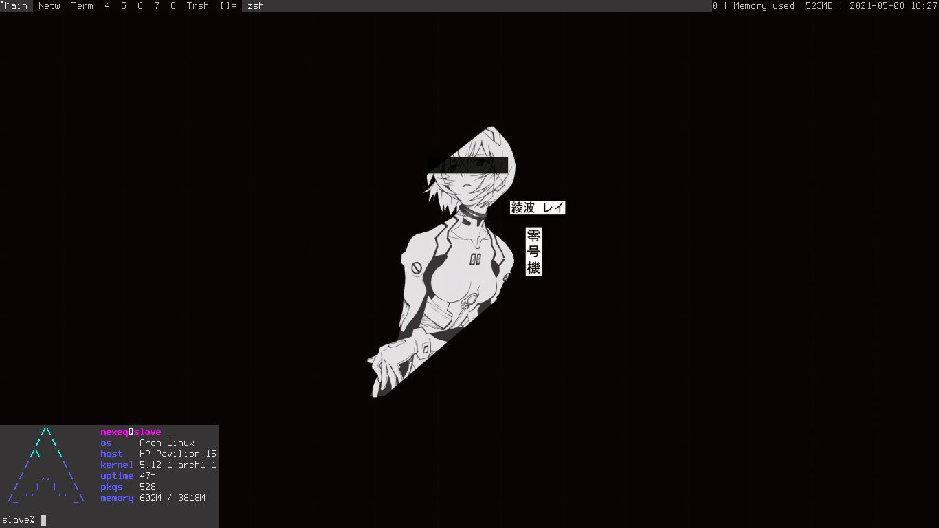 1366x768 dwm: dynamic window manager