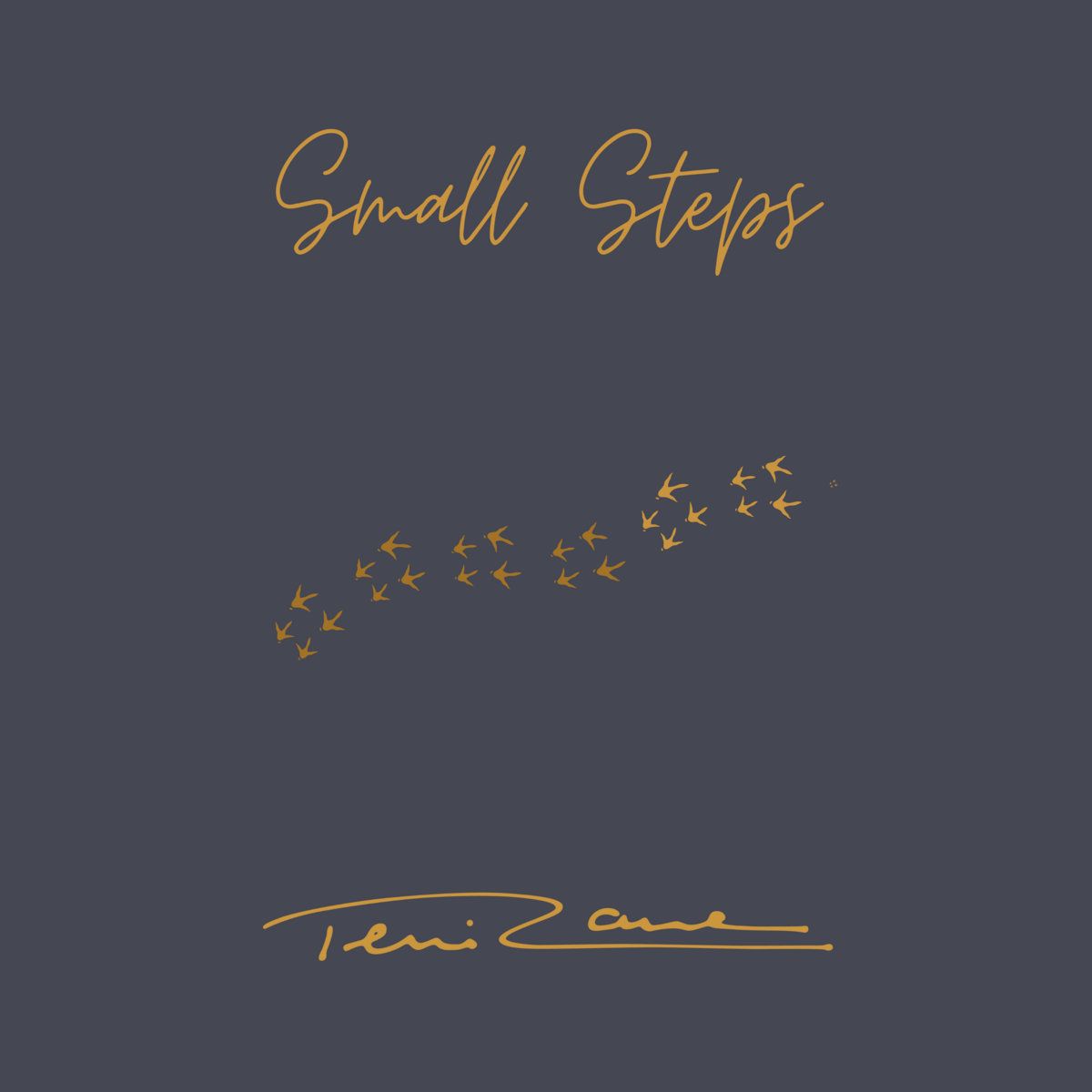 1200x1200 Small Steps