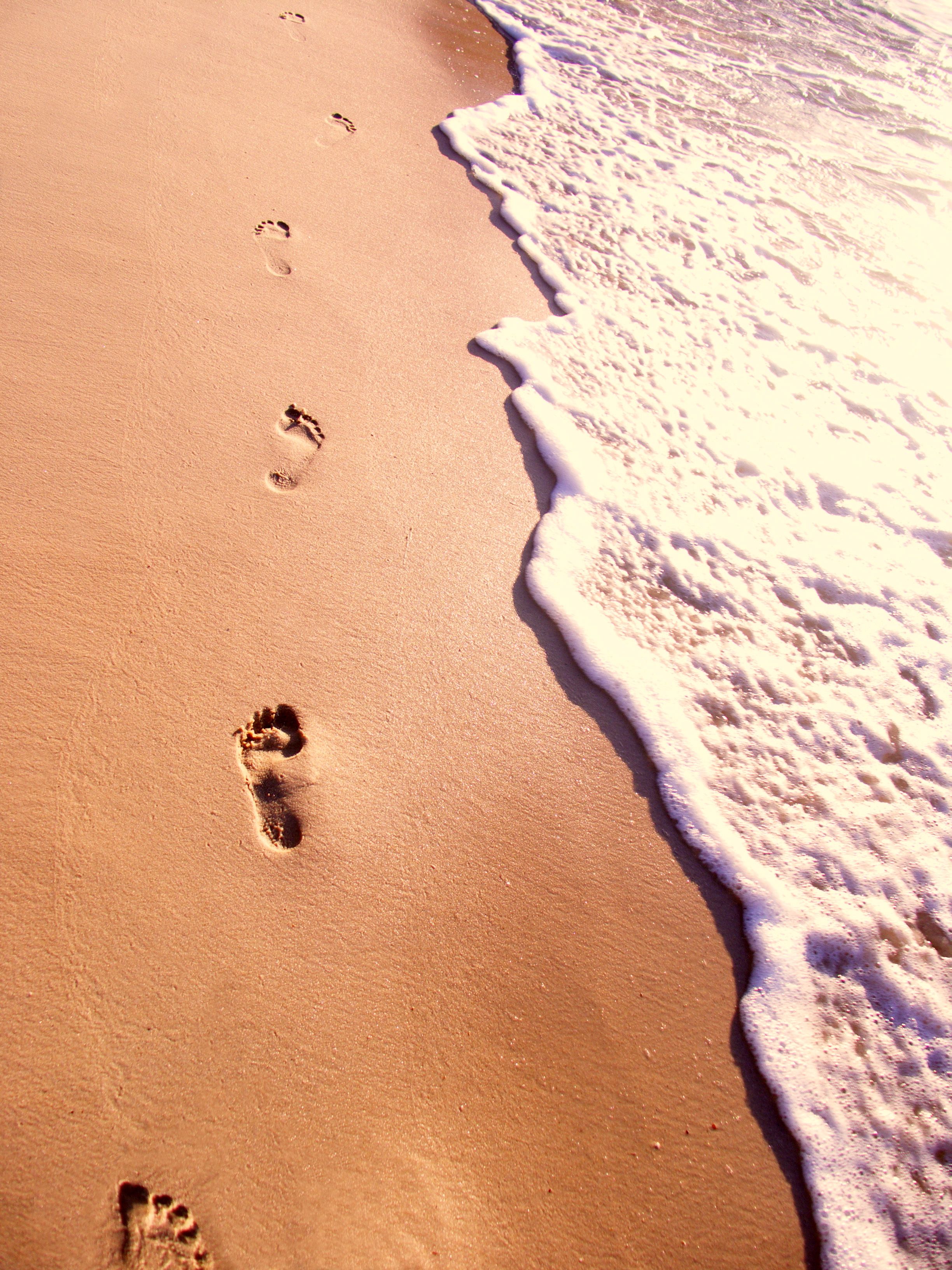 2448x3264 Take small steps to a greener planet