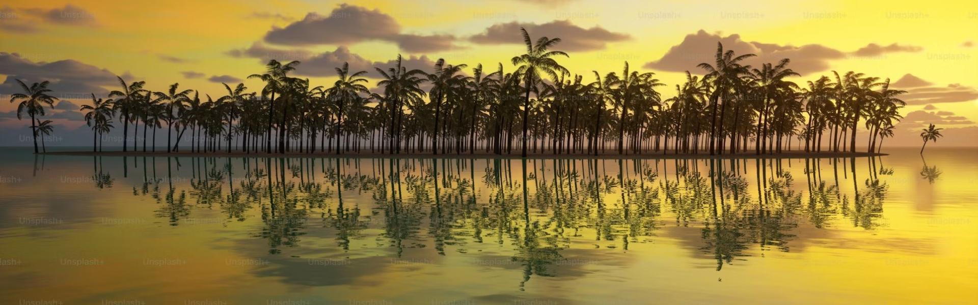 1920x600 Tropex. Your Supply Chain Management Specialists Serving the Pacific Region Markets. No One Knows The Pacific Like We Do!
