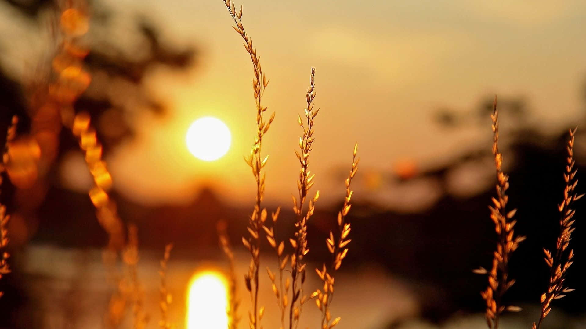 1920x1080 Warm Background