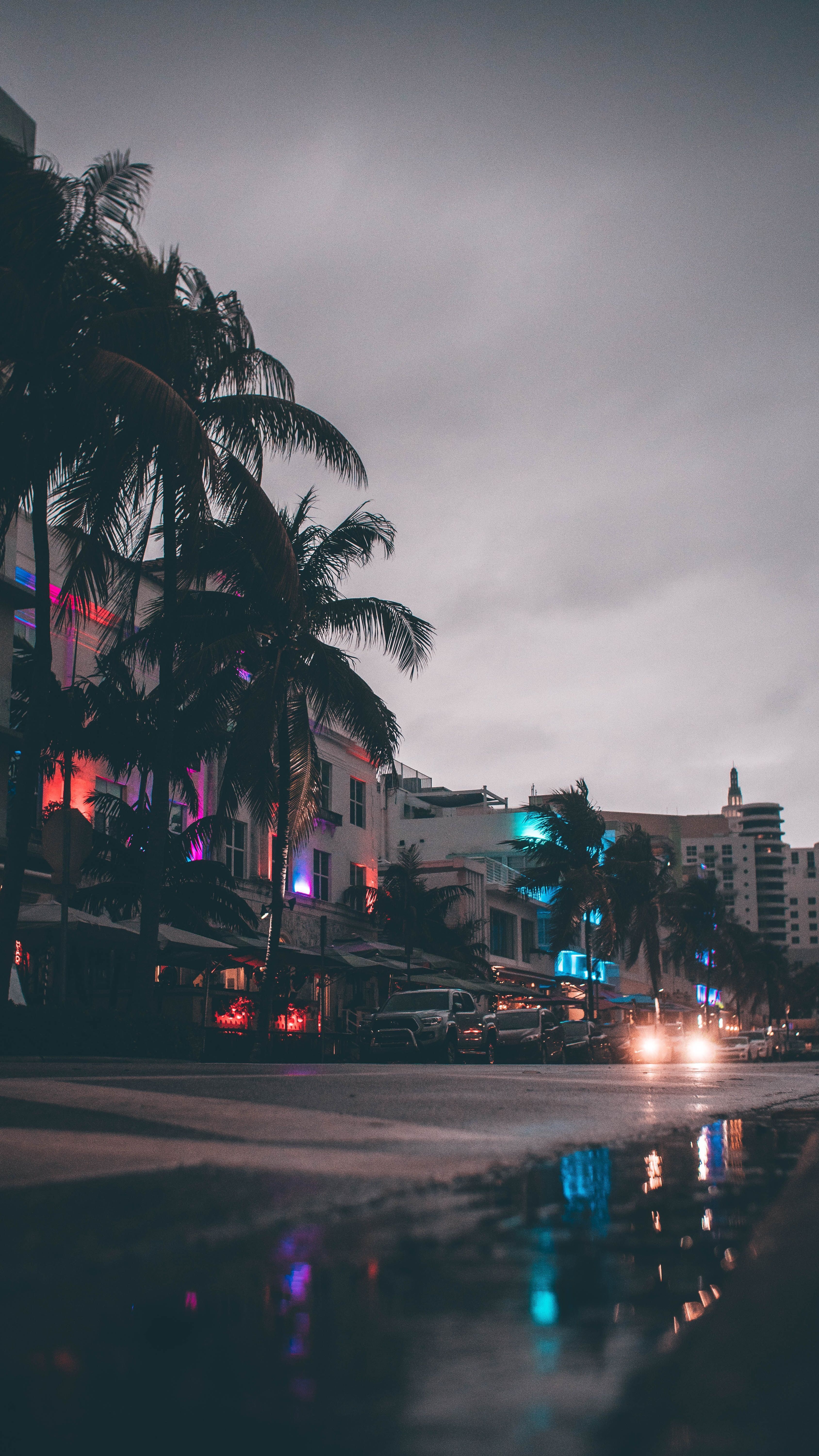 3376x6000 Miami Phone Wallpaper: Free 4K & HD Downloads