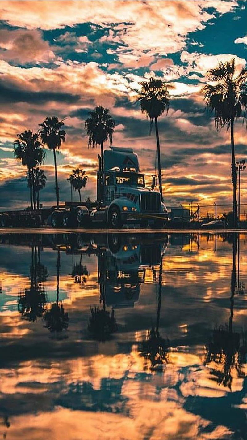 800x1422 Miami, landscape, nature, sunset, HD phone wallpaper