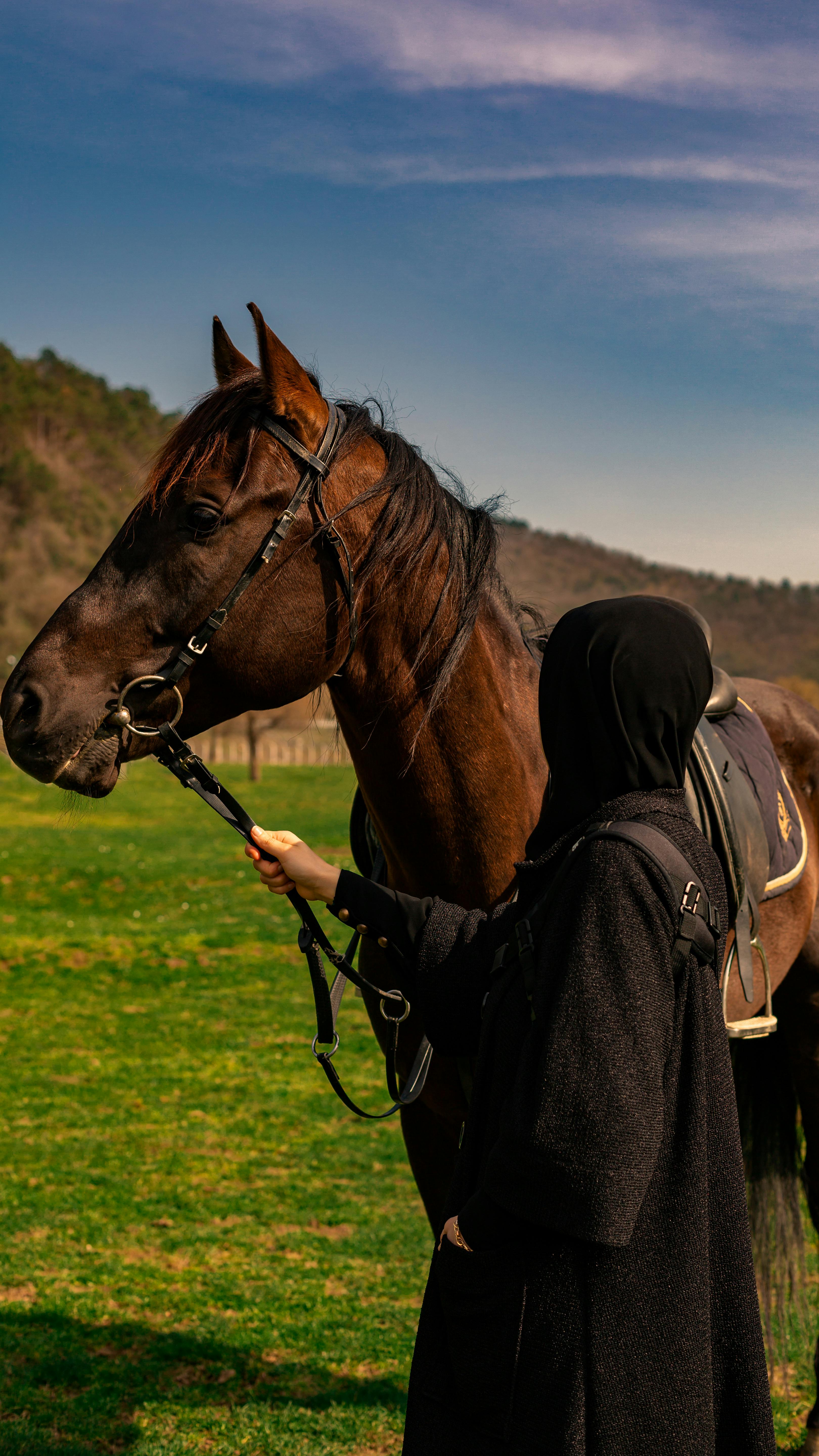 3240x5760 Woman in Hijab Standing with Horse · Free