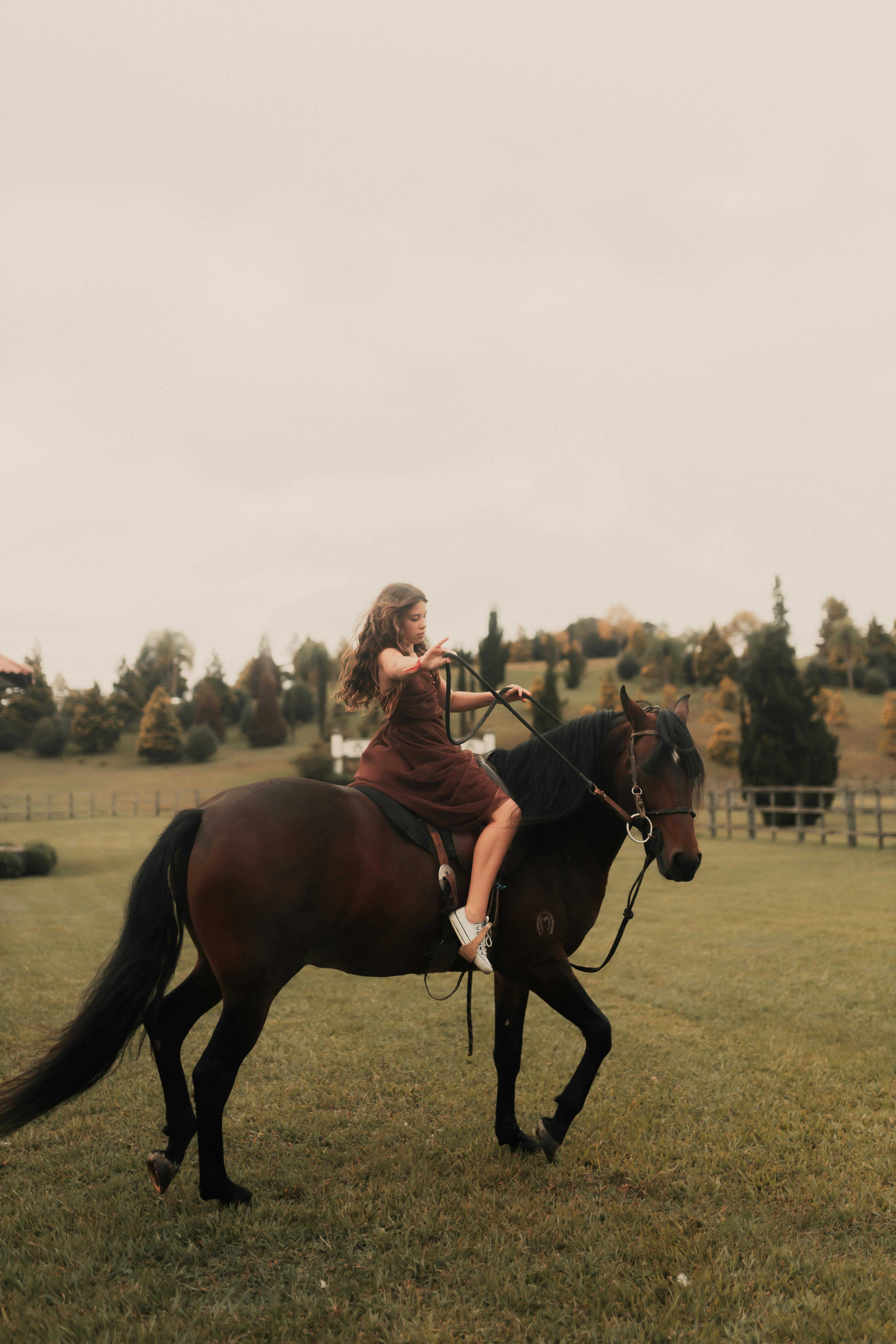 4160x6240 Young Woman Riding Horse in Countryside · Free