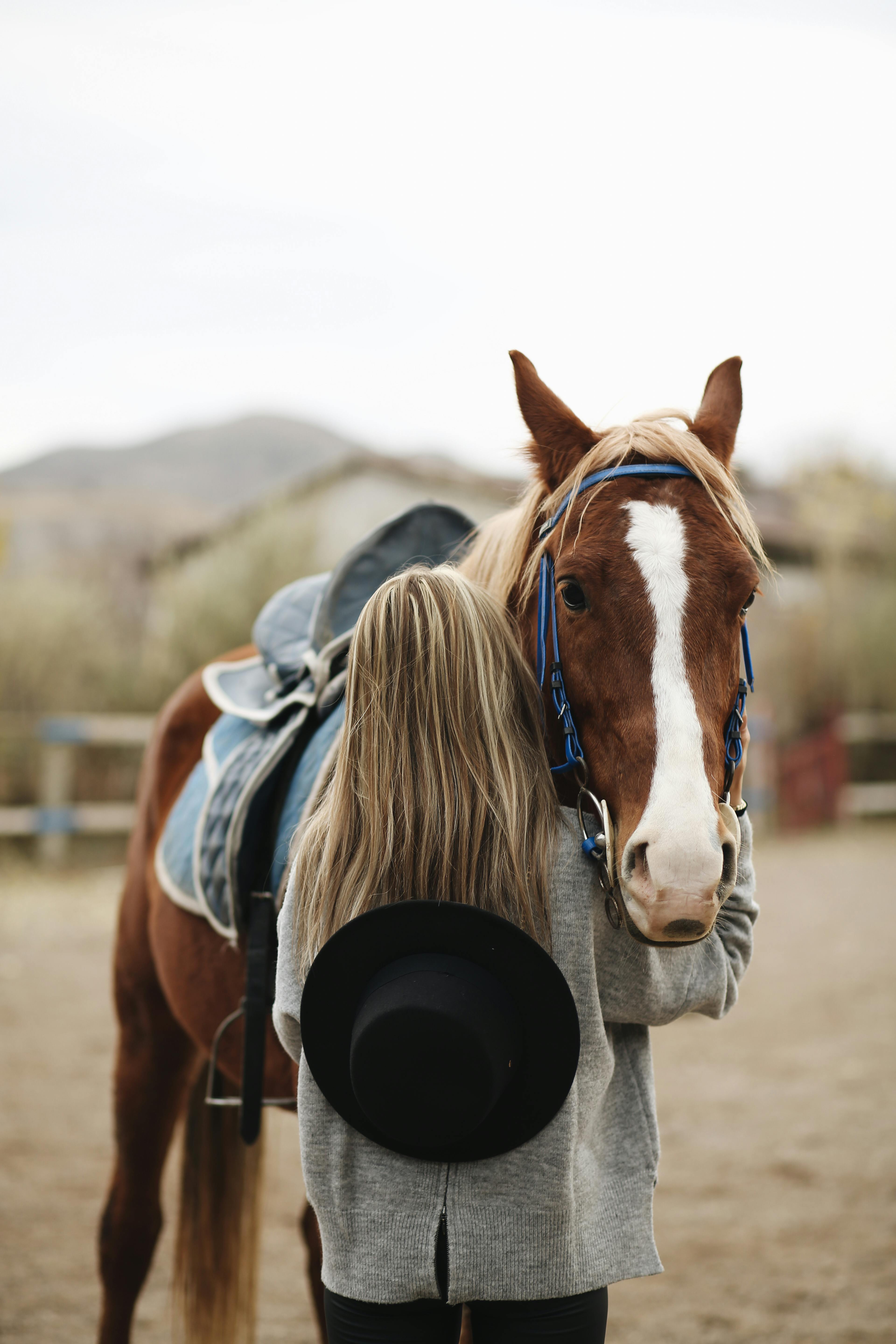 3840x5760 Back View of a Woman Hugging a Horse · Free