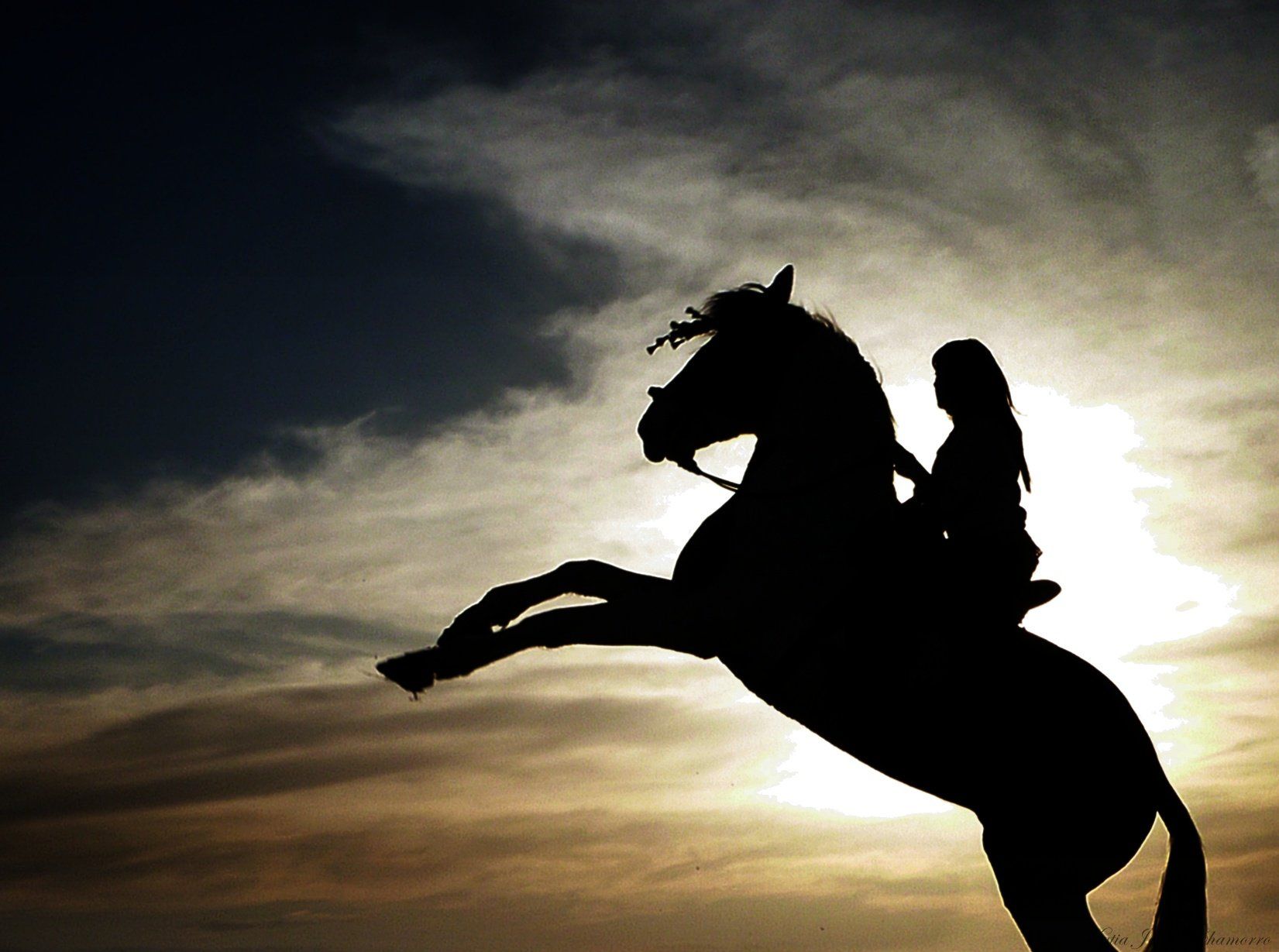 1651x1229 animal, Horse, Beautiful, Girl, Sunset Wallpaper HD / Desktop and Mobile Background