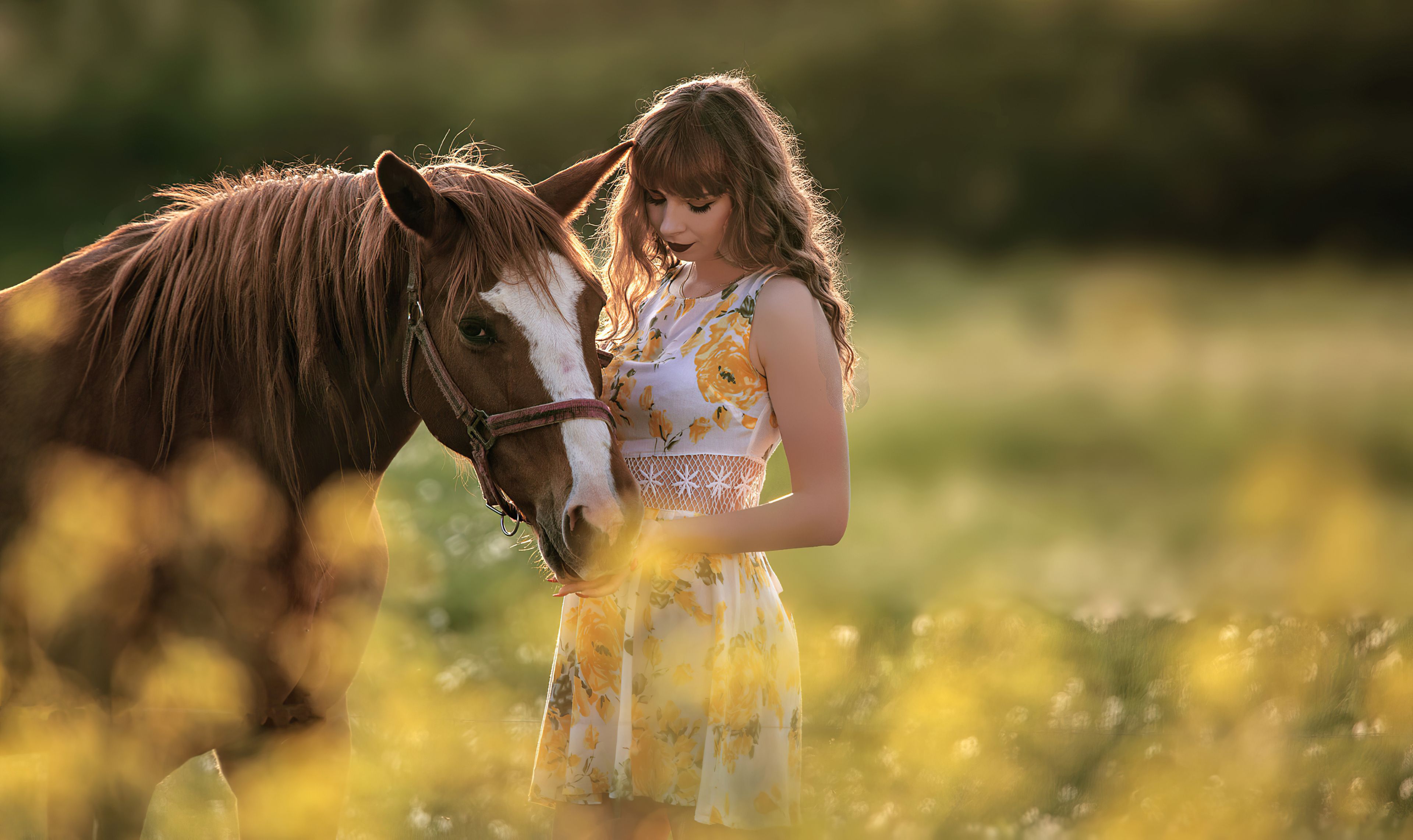 3840x2284 Girl With Horse In Field 4k Wallpaper, HD Girls Wallpaper, 4k Wallpaper , Image, Background, Photos and Picture